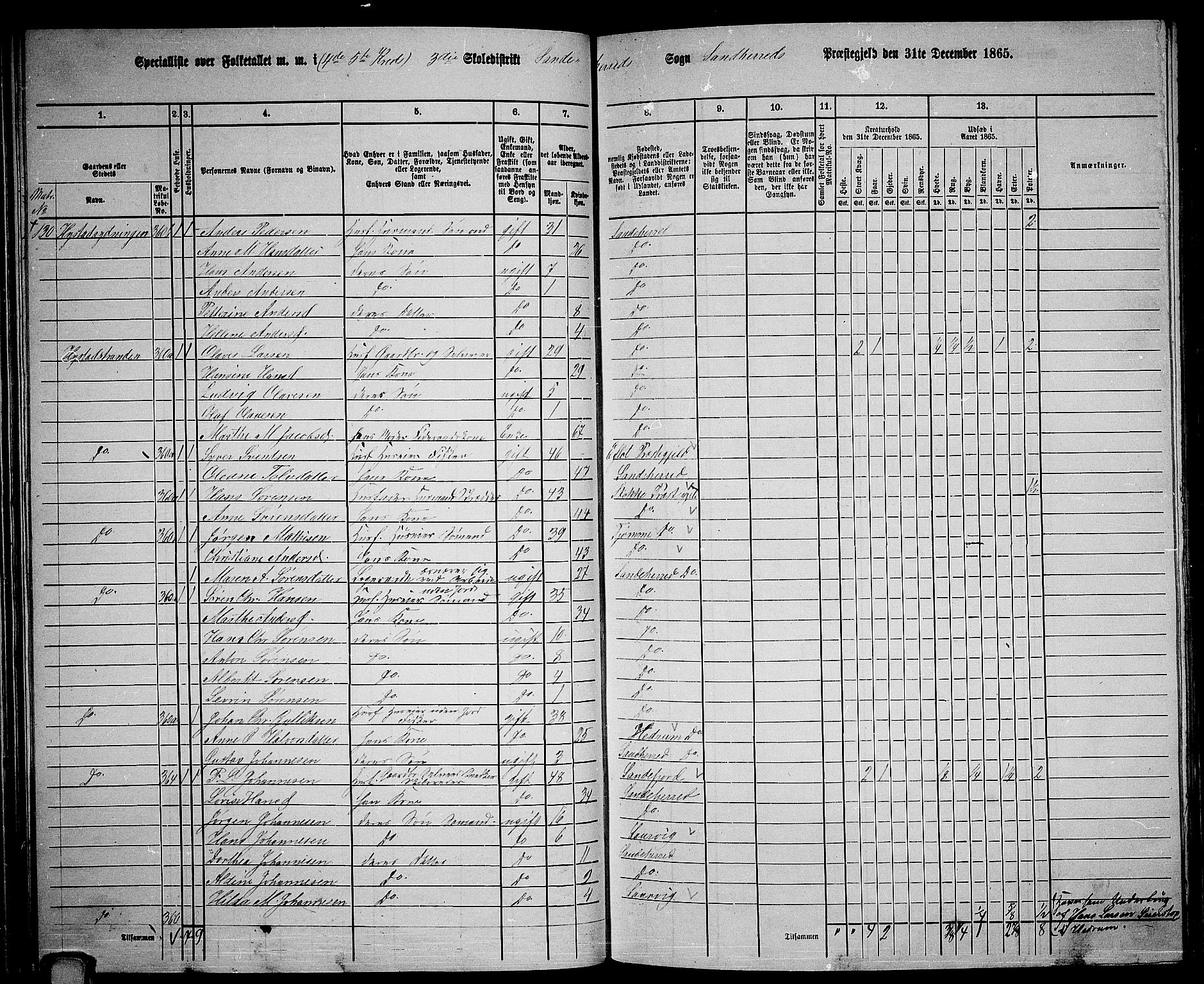 RA, 1865 census for Sandeherred/Sandeherred, 1865, p. 80