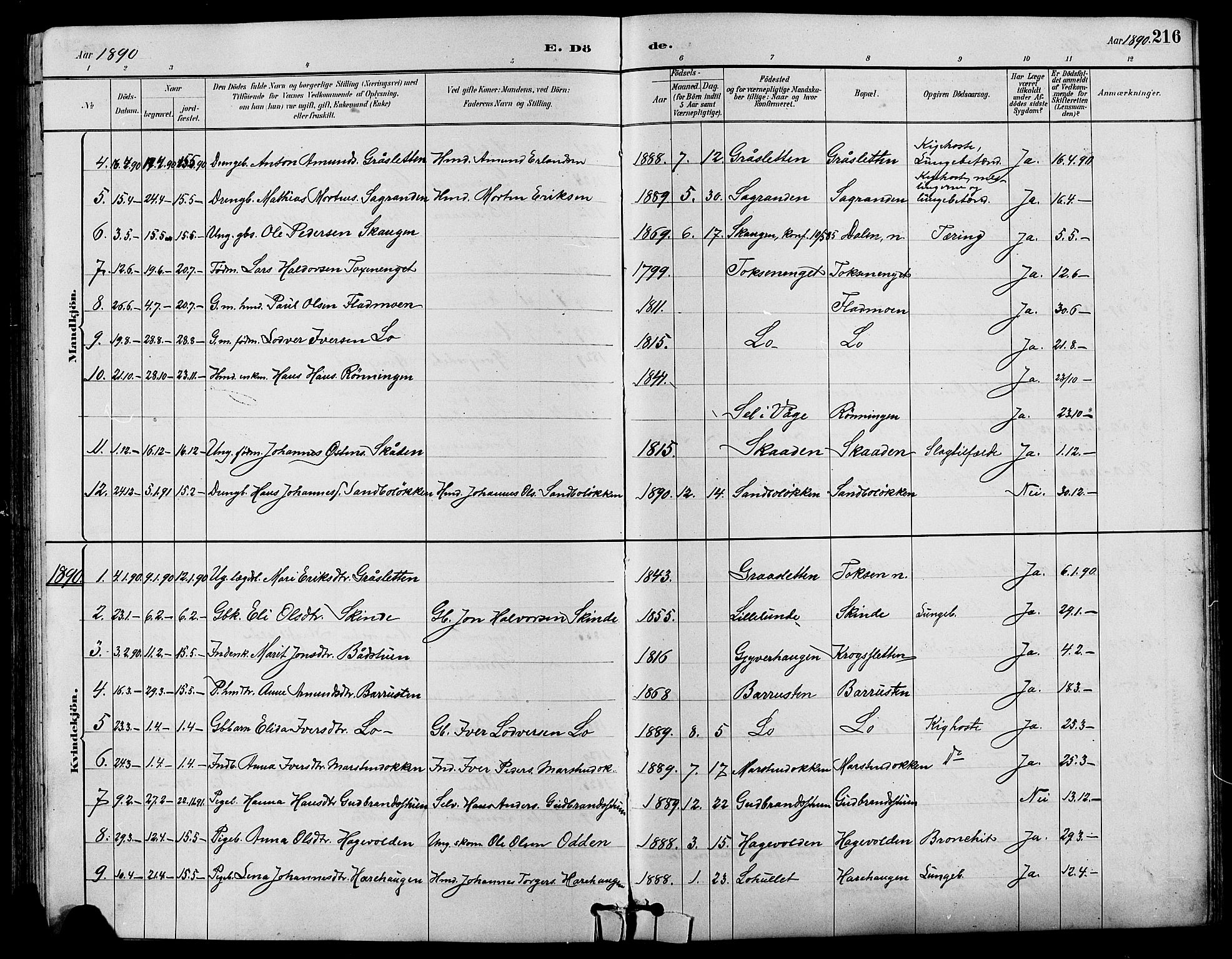 Nord-Fron prestekontor, SAH/PREST-080/H/Ha/Hab/L0004: Parish register (copy) no. 4, 1884-1914, p. 216