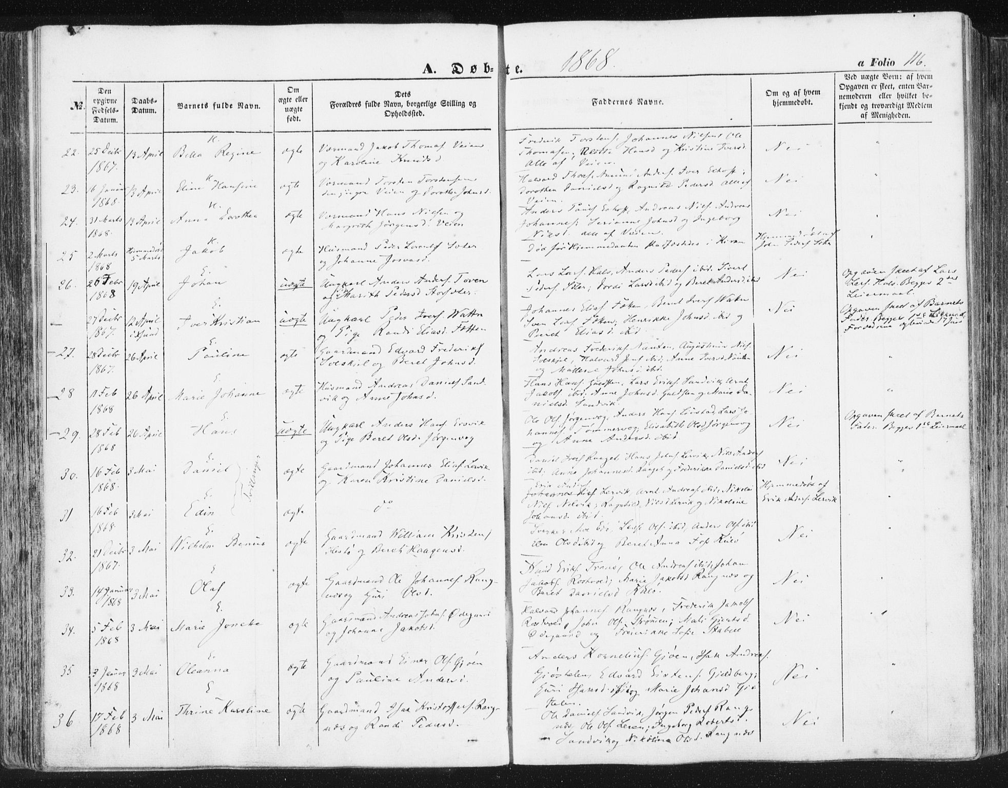 Ministerialprotokoller, klokkerbøker og fødselsregistre - Møre og Romsdal, AV/SAT-A-1454/581/L0937: Parish register (official) no. 581A05, 1853-1872, p. 116