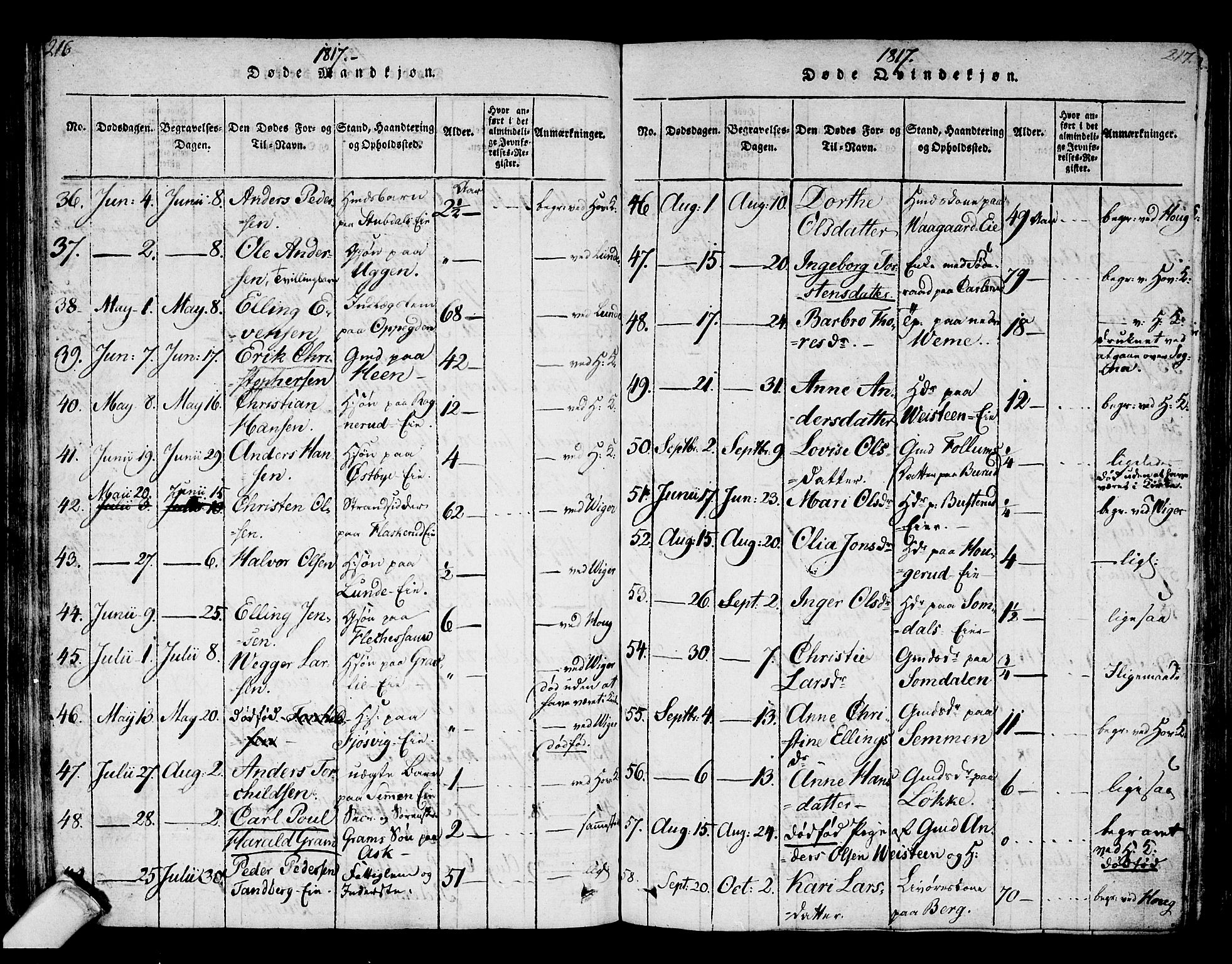 Norderhov kirkebøker, AV/SAKO-A-237/F/Fa/L0008: Parish register (official) no. 8, 1814-1833, p. 216-217