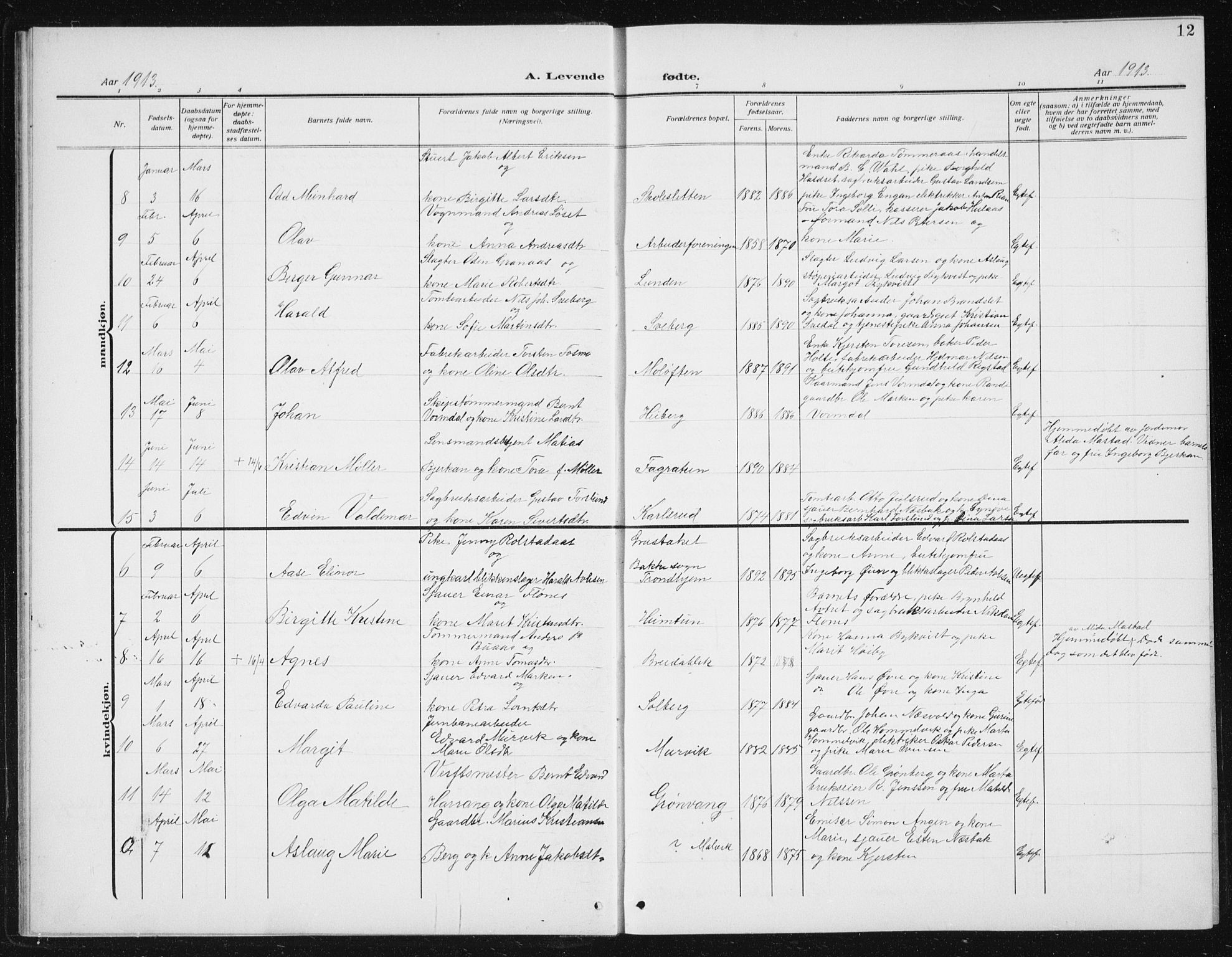 Ministerialprotokoller, klokkerbøker og fødselsregistre - Sør-Trøndelag, SAT/A-1456/617/L0431: Parish register (copy) no. 617C02, 1910-1936, p. 12