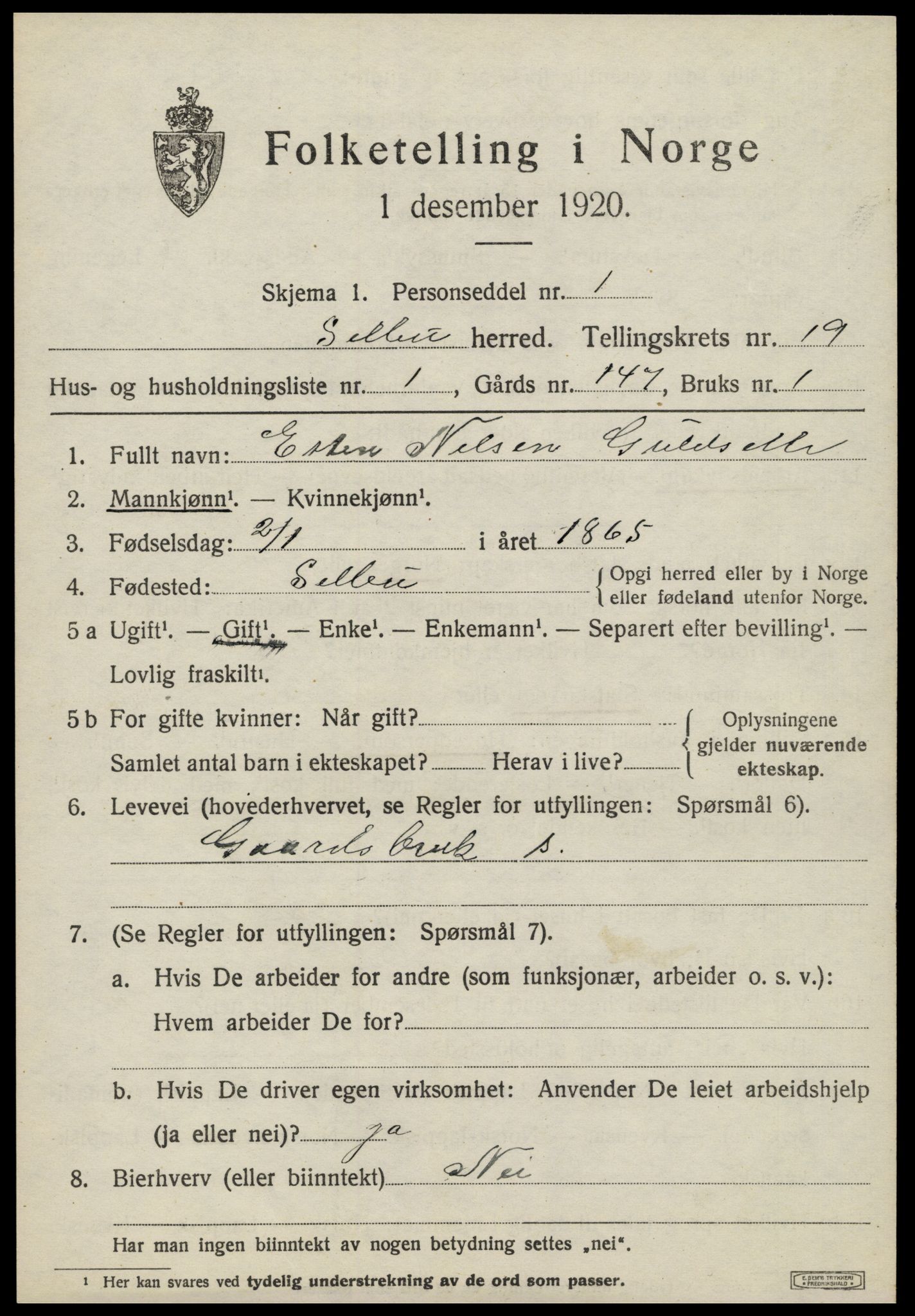 SAT, 1920 census for Selbu, 1920, p. 9872