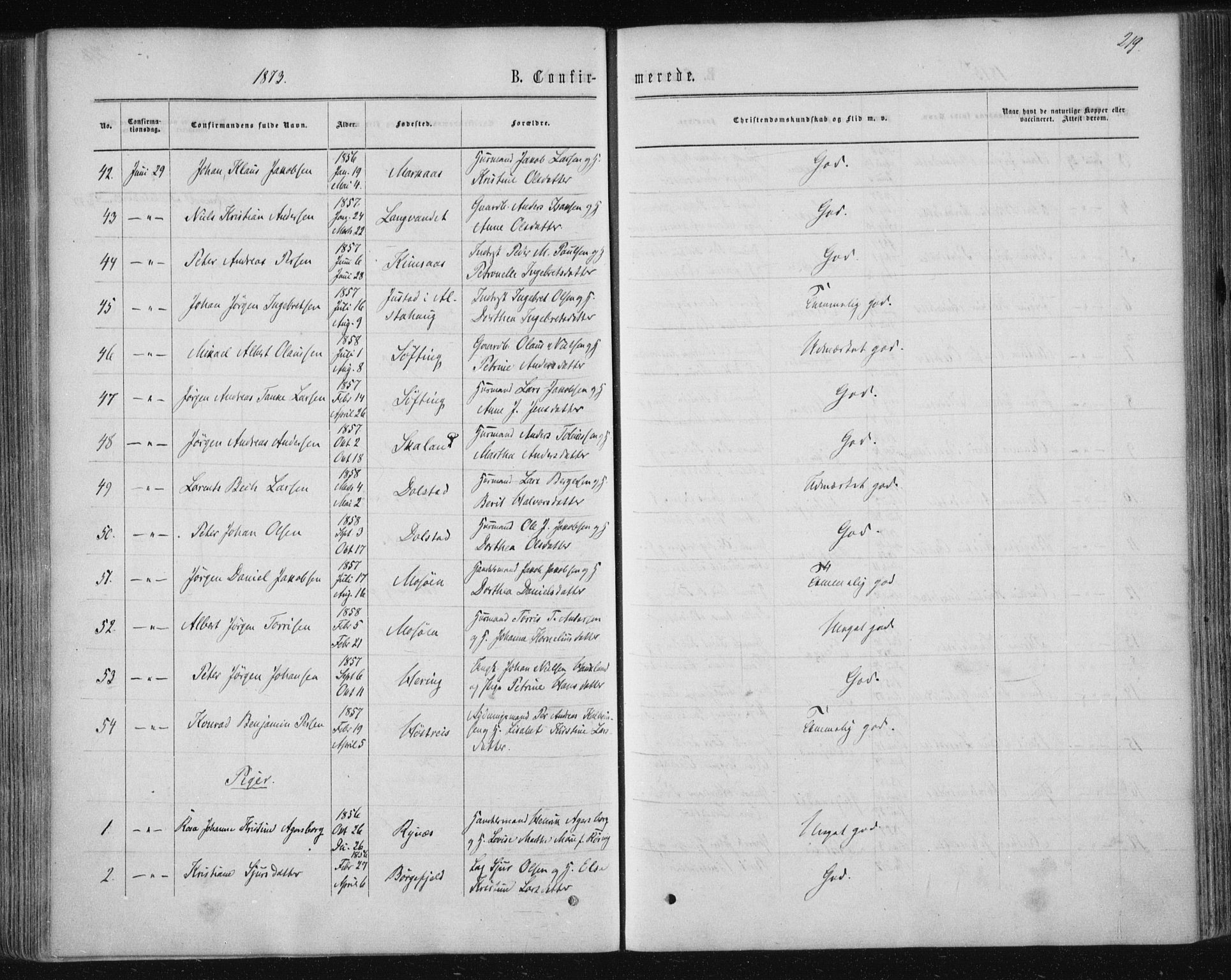 Ministerialprotokoller, klokkerbøker og fødselsregistre - Nordland, AV/SAT-A-1459/820/L0294: Parish register (official) no. 820A15, 1866-1879, p. 219