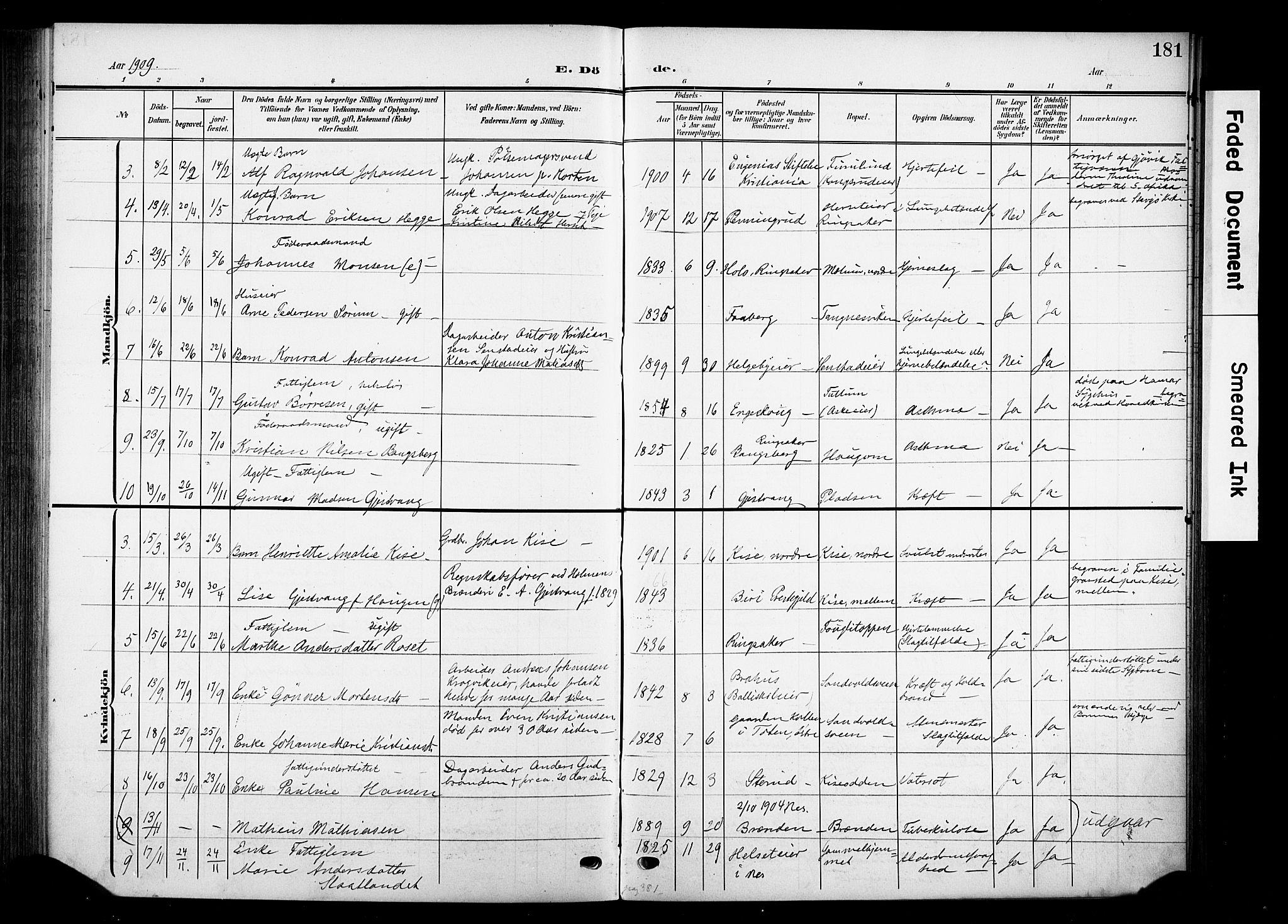 Nes prestekontor, Hedmark, SAH/PREST-020/K/Ka/L0013: Parish register (official) no. 13, 1906-1924, p. 181