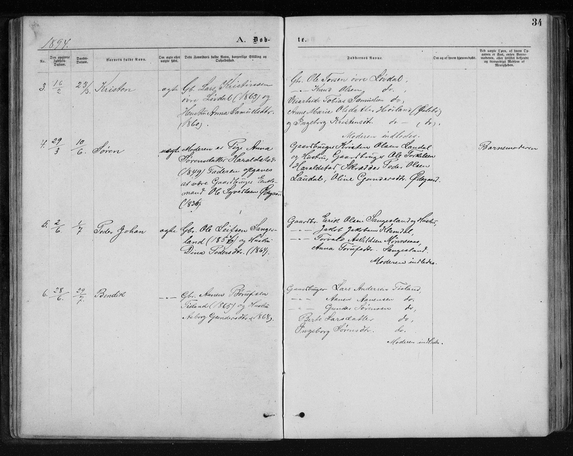 Holum sokneprestkontor, AV/SAK-1111-0022/F/Fb/Fbb/L0003: Parish register (copy) no. B 3, 1875-1898, p. 34