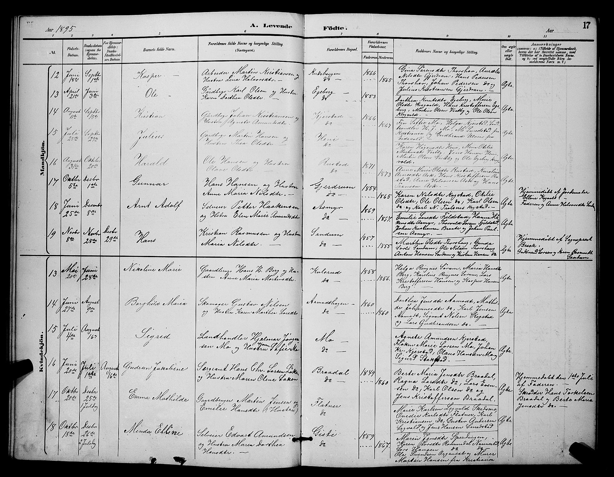 Gjerdrum prestekontor Kirkebøker, SAO/A-10412b/G/Ga/L0005: Parish register (copy) no. I 5, 1891-1901, p. 17