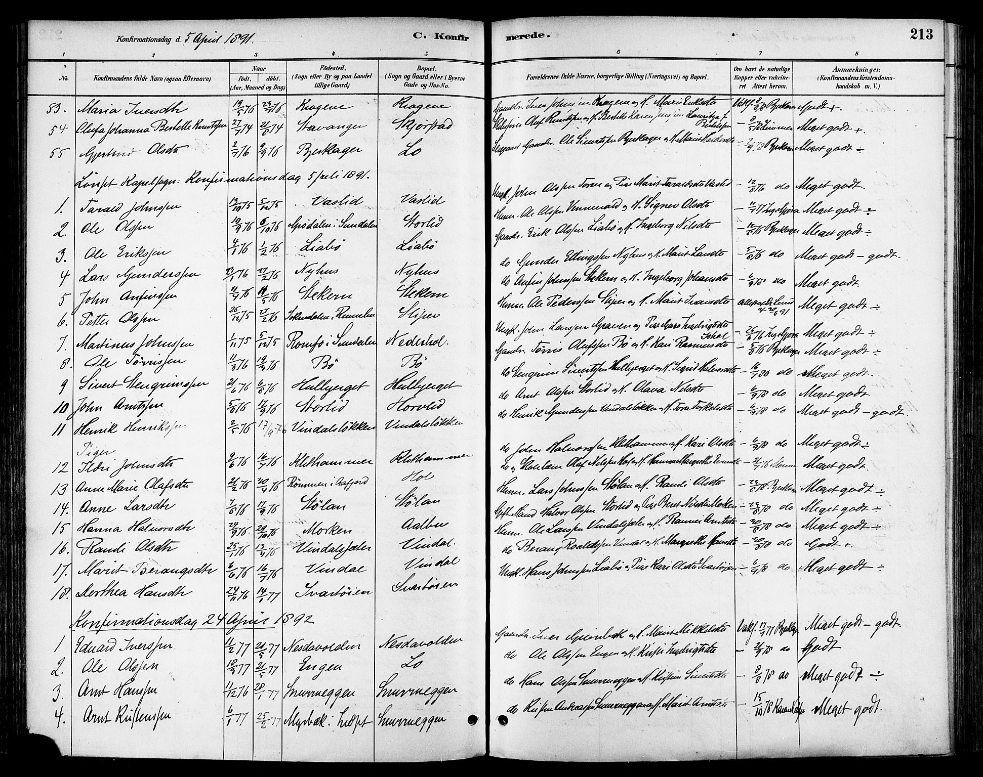 Ministerialprotokoller, klokkerbøker og fødselsregistre - Sør-Trøndelag, AV/SAT-A-1456/678/L0901: Parish register (official) no. 678A10, 1881-1894, p. 213