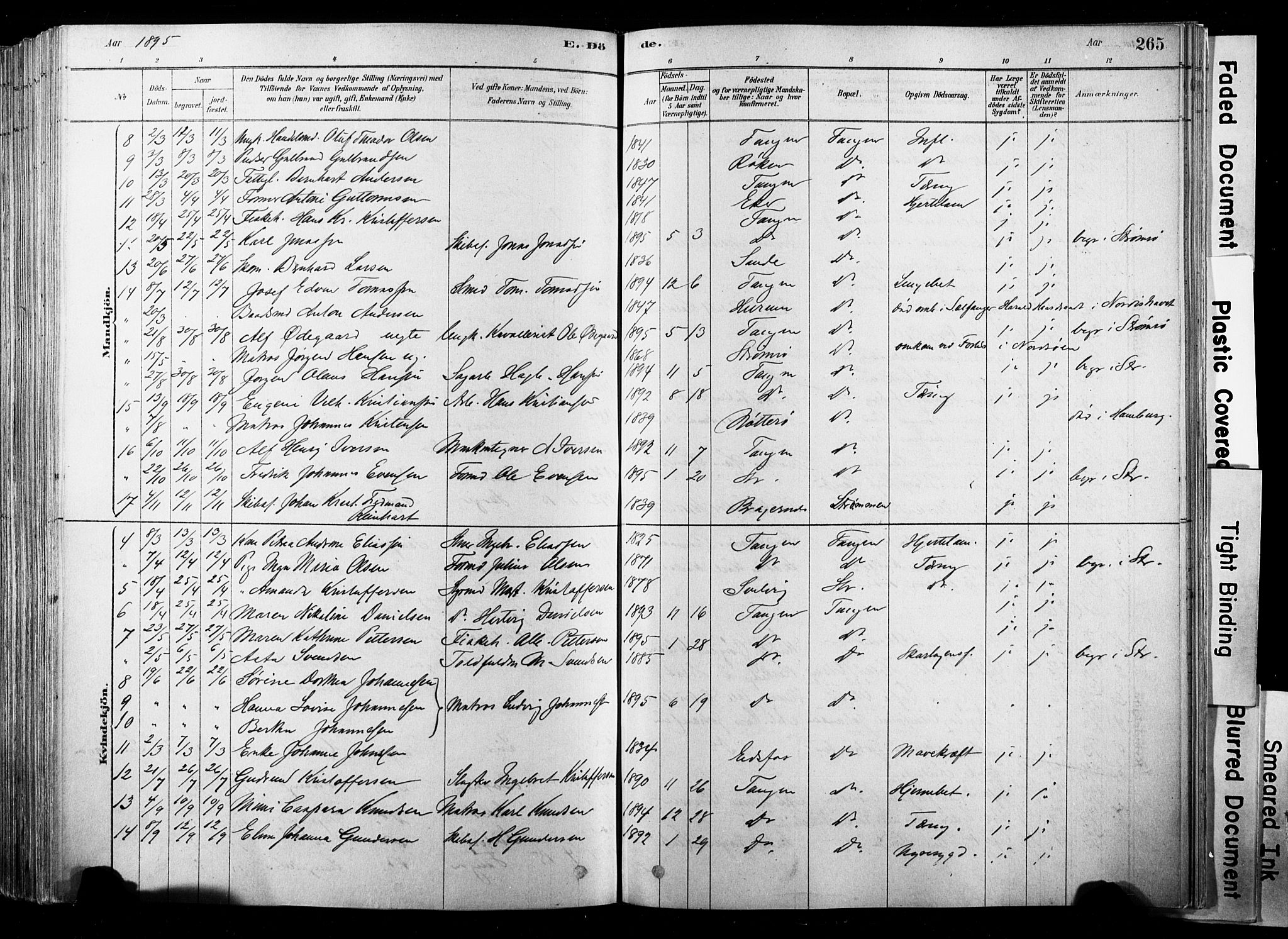 Strømsø kirkebøker, SAKO/A-246/F/Fb/L0006: Parish register (official) no. II 6, 1879-1910, p. 265