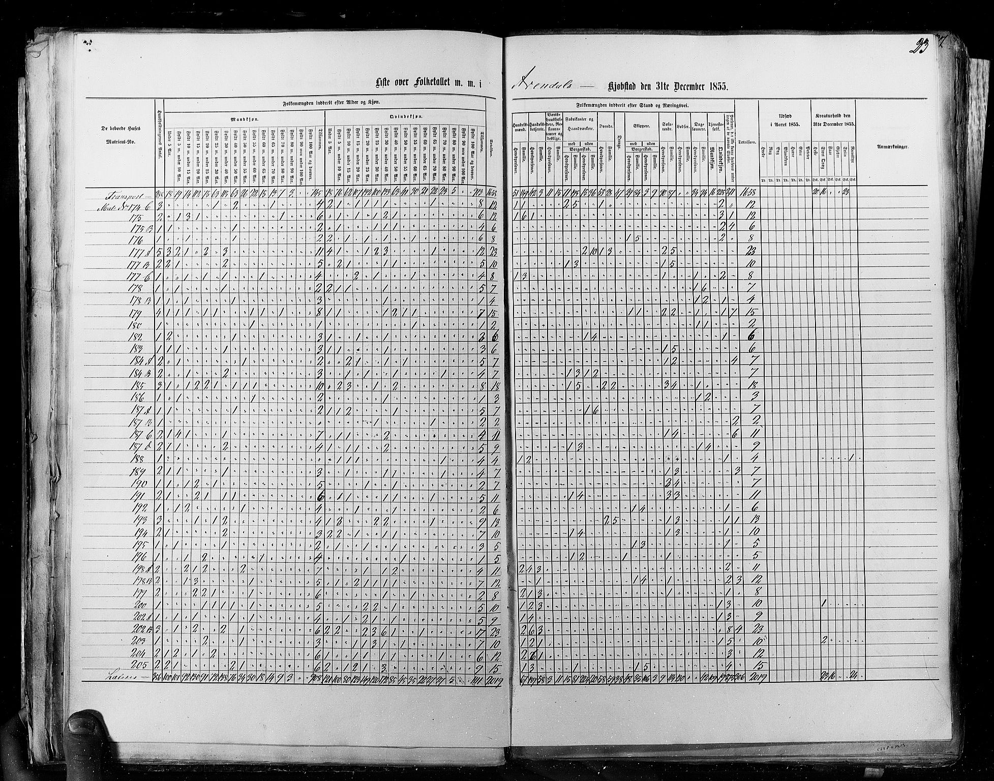 RA, Census 1855, vol. 8: Risør-Vadsø, 1855, p. 23