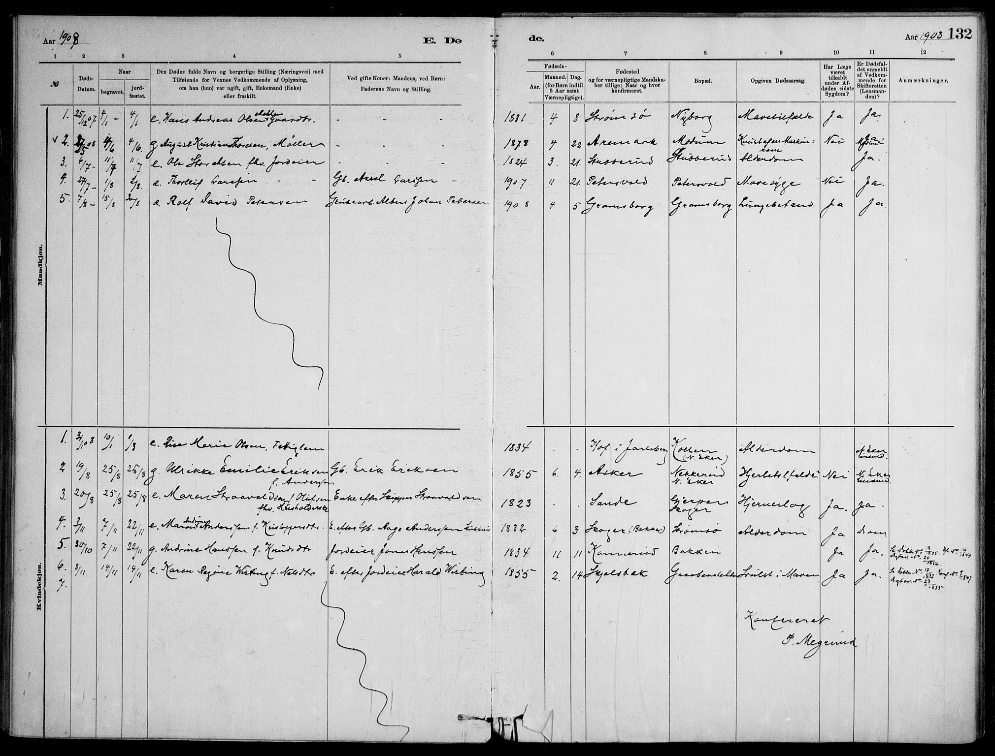 Skoger kirkebøker, SAKO/A-59/F/Fb/L0001: Parish register (official) no. II 1, 1885-1913, p. 132