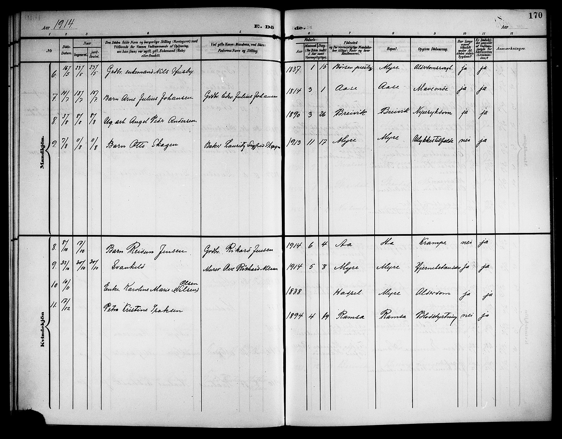 Ministerialprotokoller, klokkerbøker og fødselsregistre - Nordland, AV/SAT-A-1459/897/L1414: Parish register (copy) no. 897C04, 1904-1915, p. 170