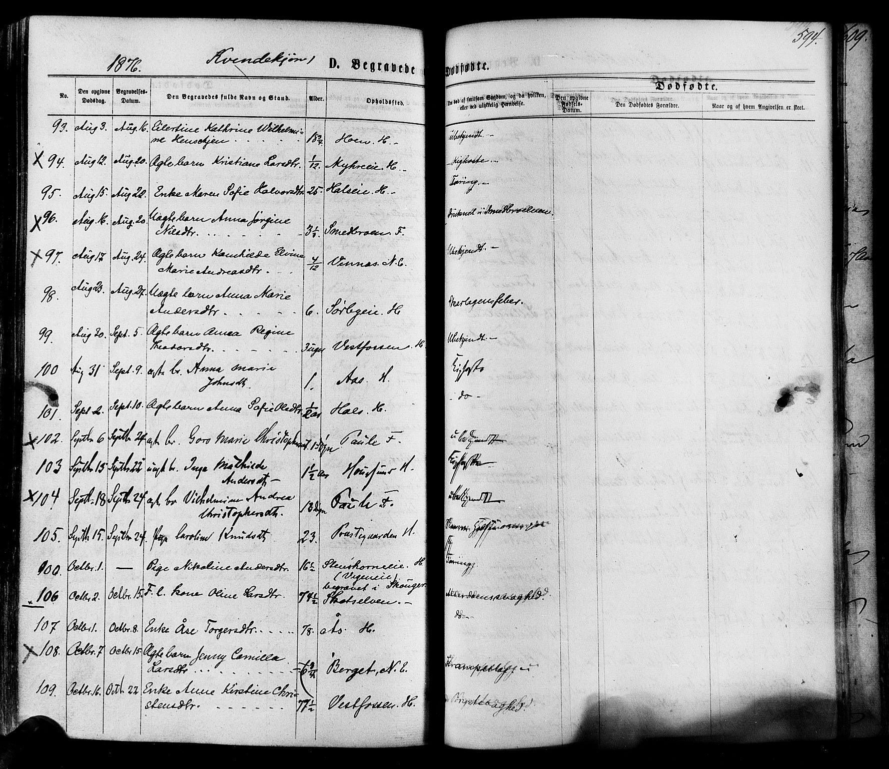 Eiker kirkebøker, SAKO/A-4/F/Fa/L0017: Parish register (official) no. I 17, 1869-1877, p. 594