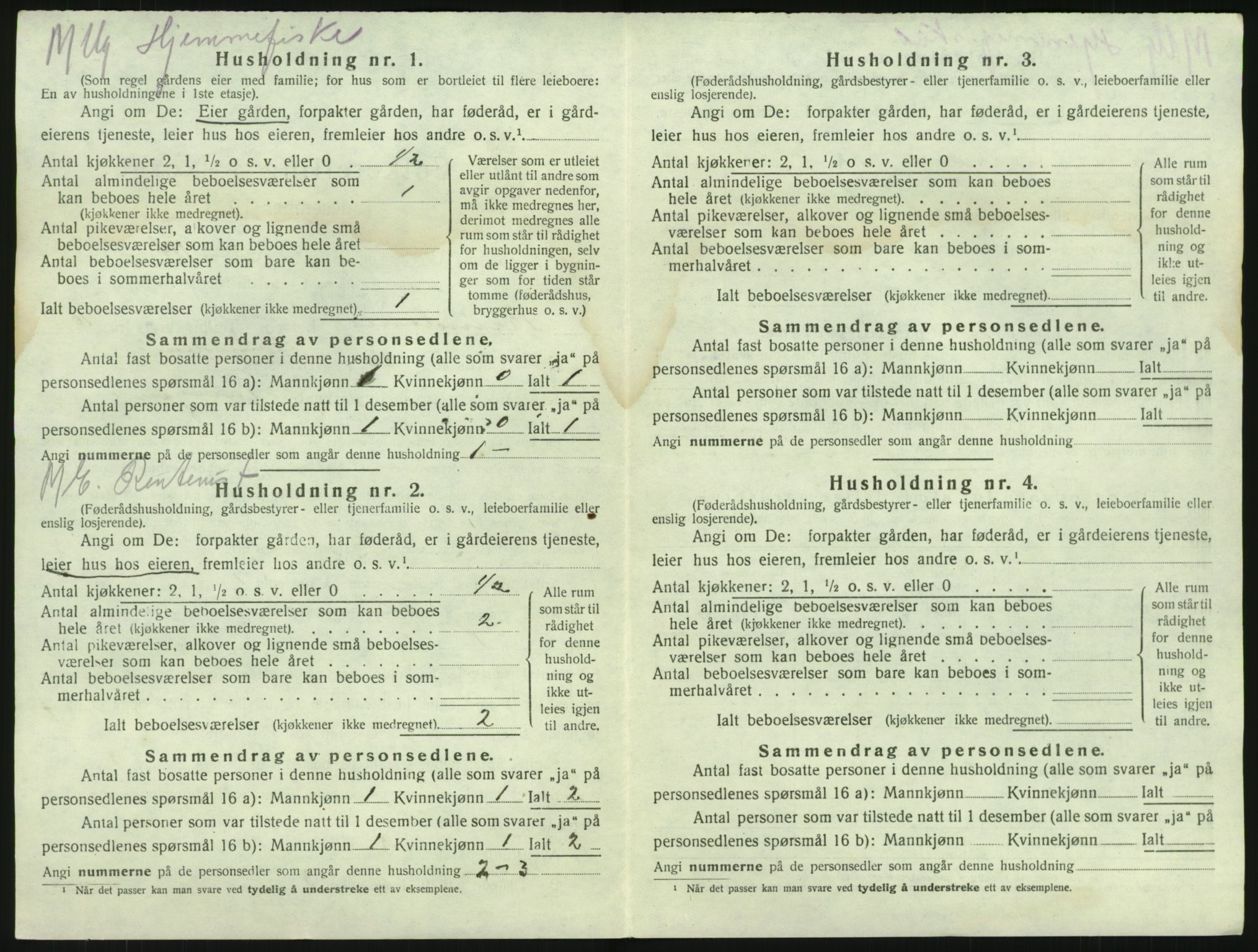 SAKO, 1920 census for Brunlanes, 1920, p. 1474