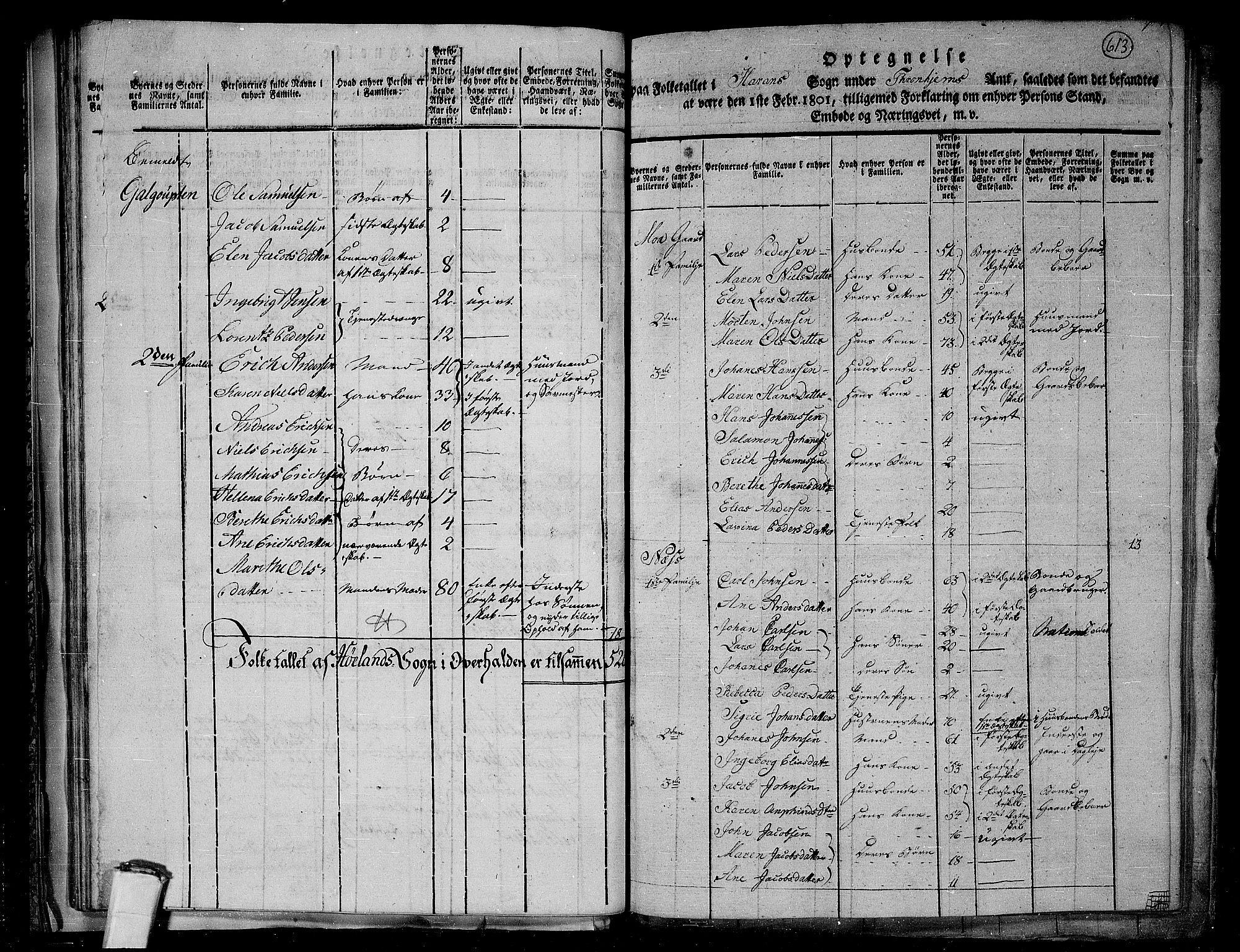 RA, 1801 census for 1744P Overhalla, 1801, p. 612b-613a