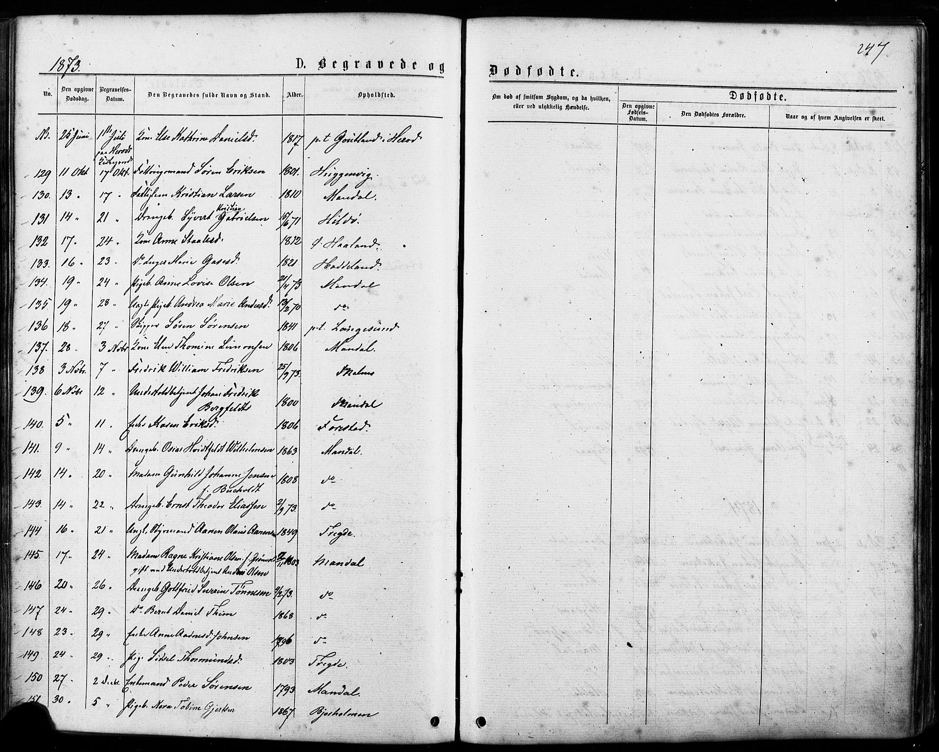 Mandal sokneprestkontor, SAK/1111-0030/F/Fa/Faa/L0015: Parish register (official) no. A 15, 1873-1879, p. 247