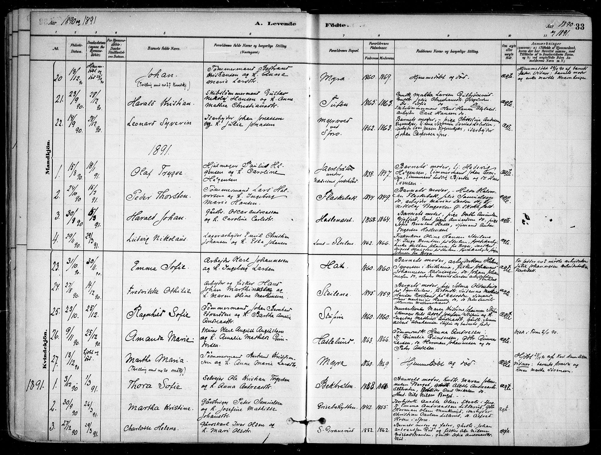 Nesodden prestekontor Kirkebøker, SAO/A-10013/F/Fa/L0009: Parish register (official) no. I 9, 1880-1915, p. 33