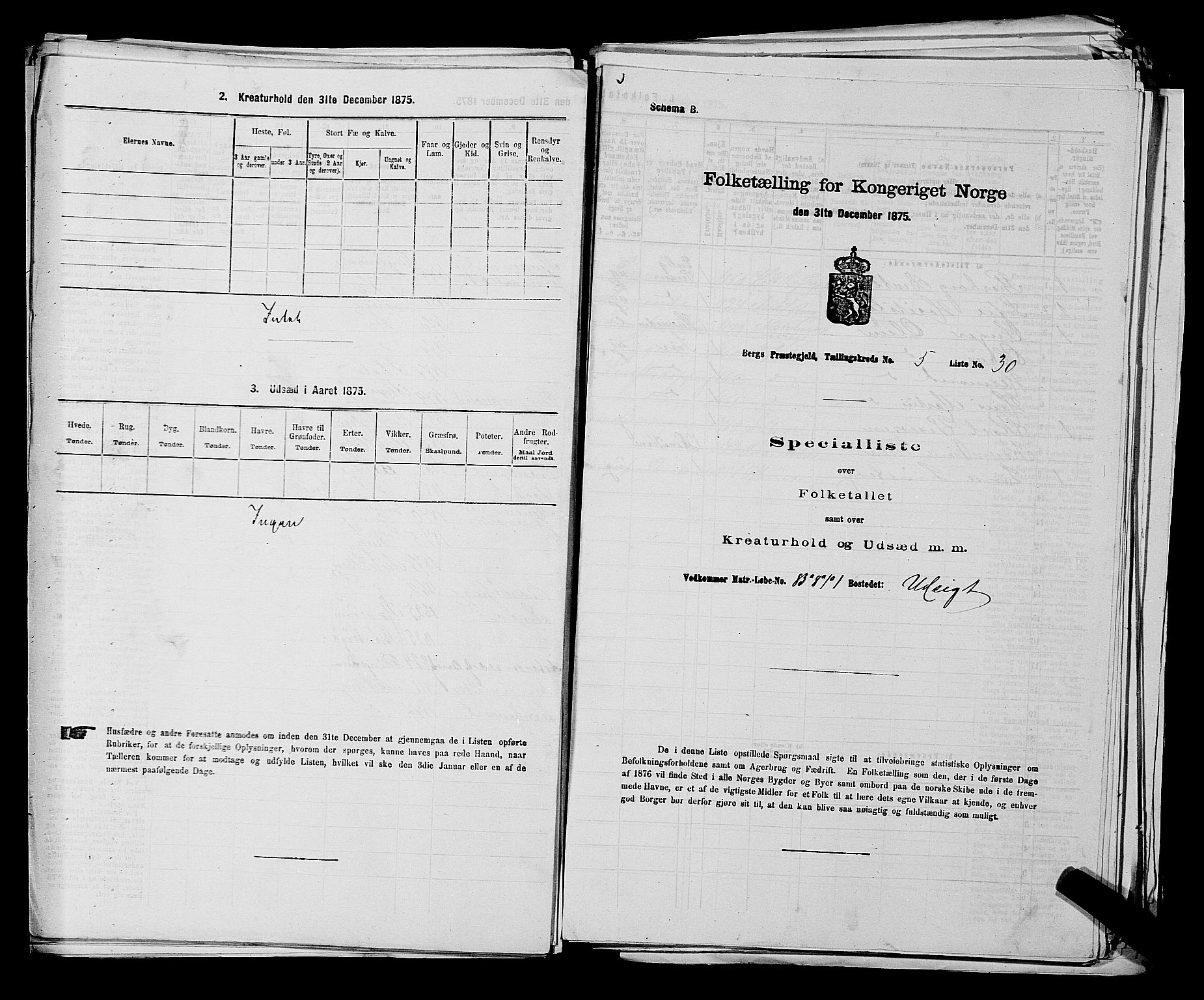 RA, 1875 census for 0116P Berg, 1875, p. 737