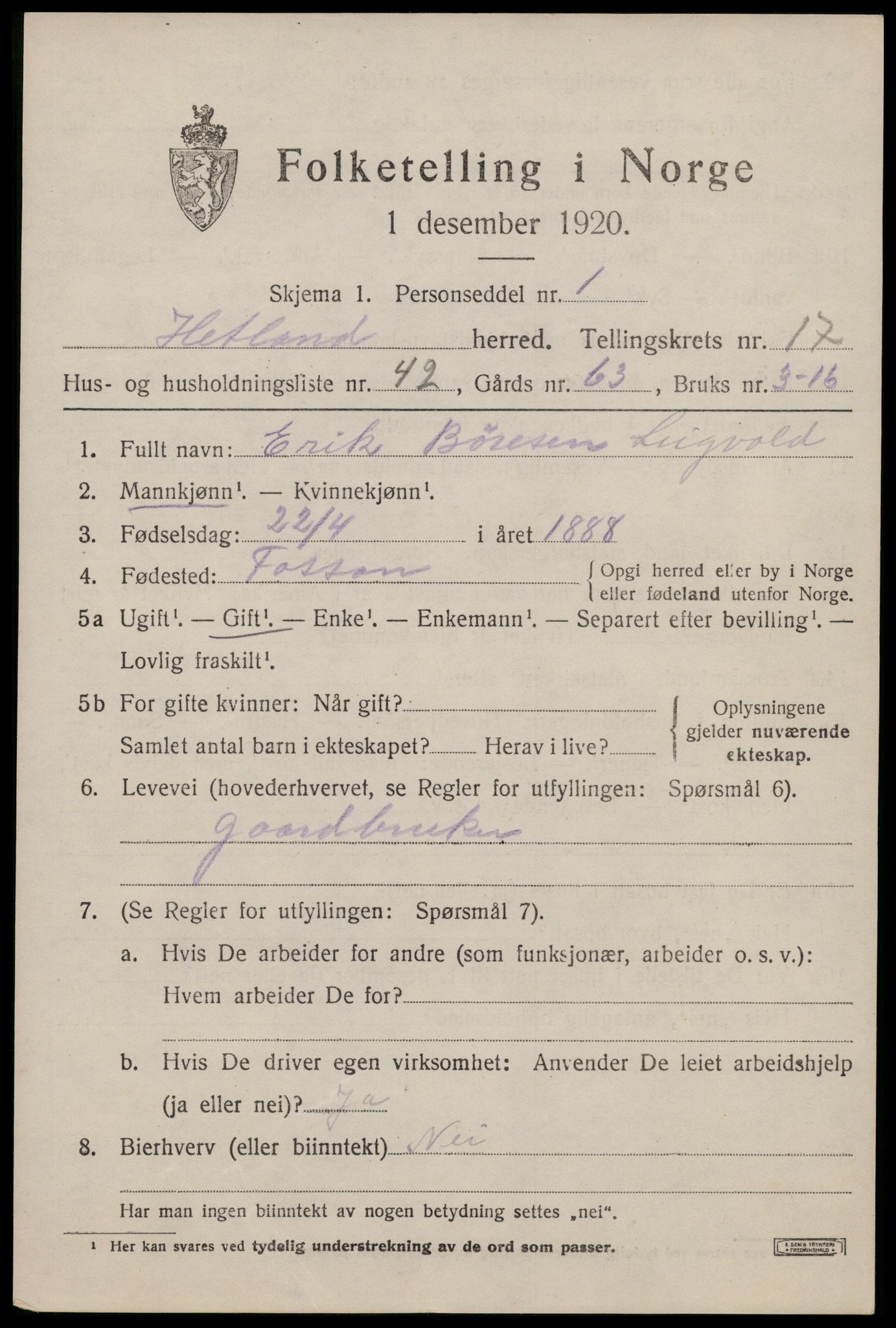 SAST, 1920 census for Hetland, 1920, p. 25005