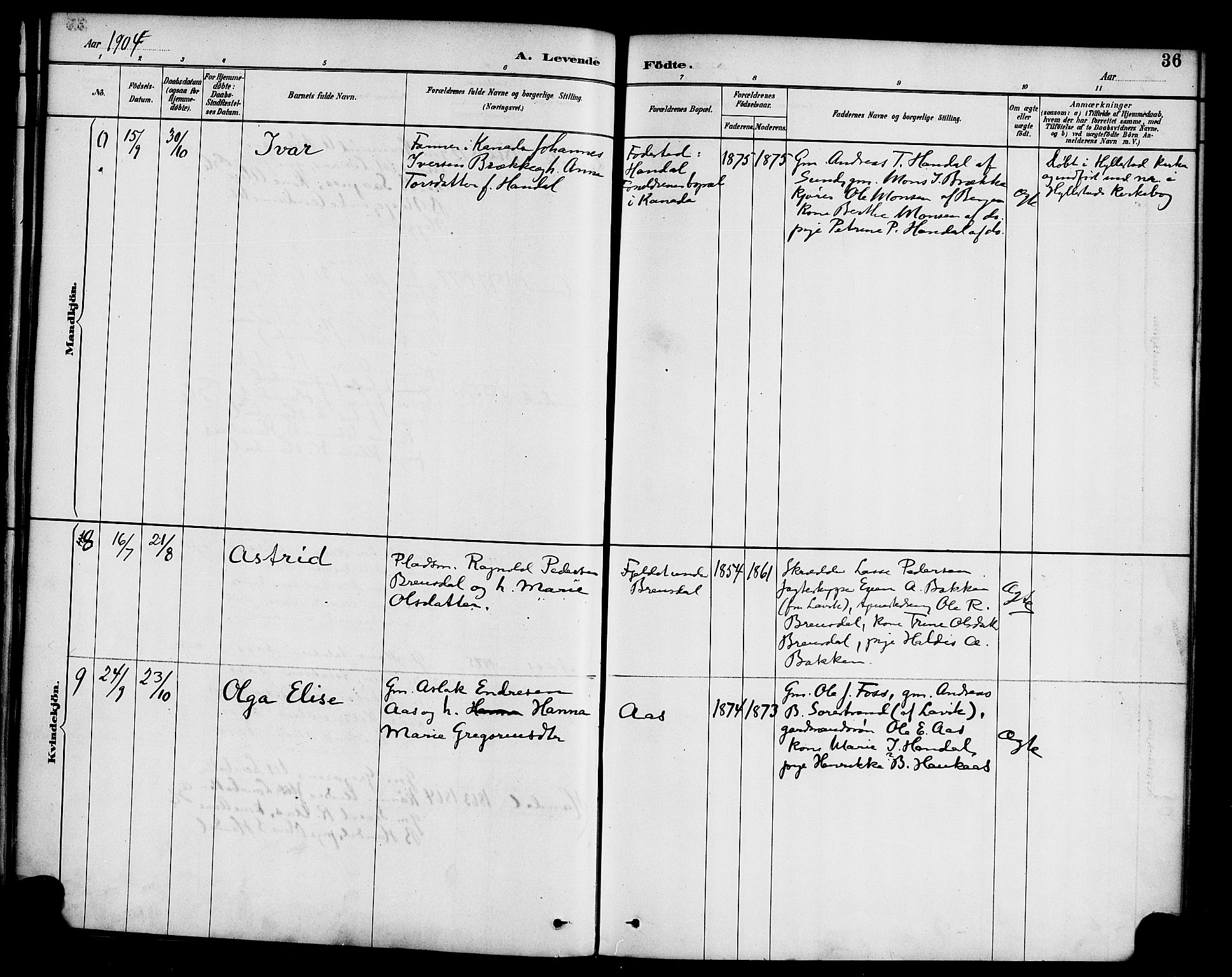 Hyllestad sokneprestembete, SAB/A-80401: Parish register (official) no. C 1, 1886-1904, p. 36