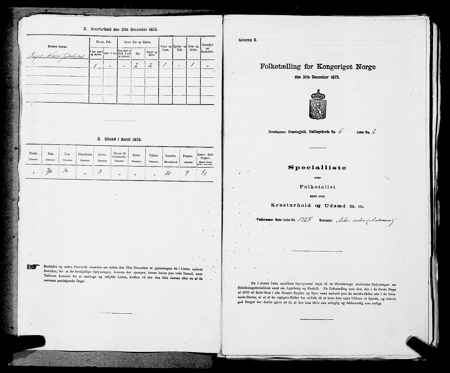 SAKO, 1875 census for 0726P Brunlanes, 1875, p. 683