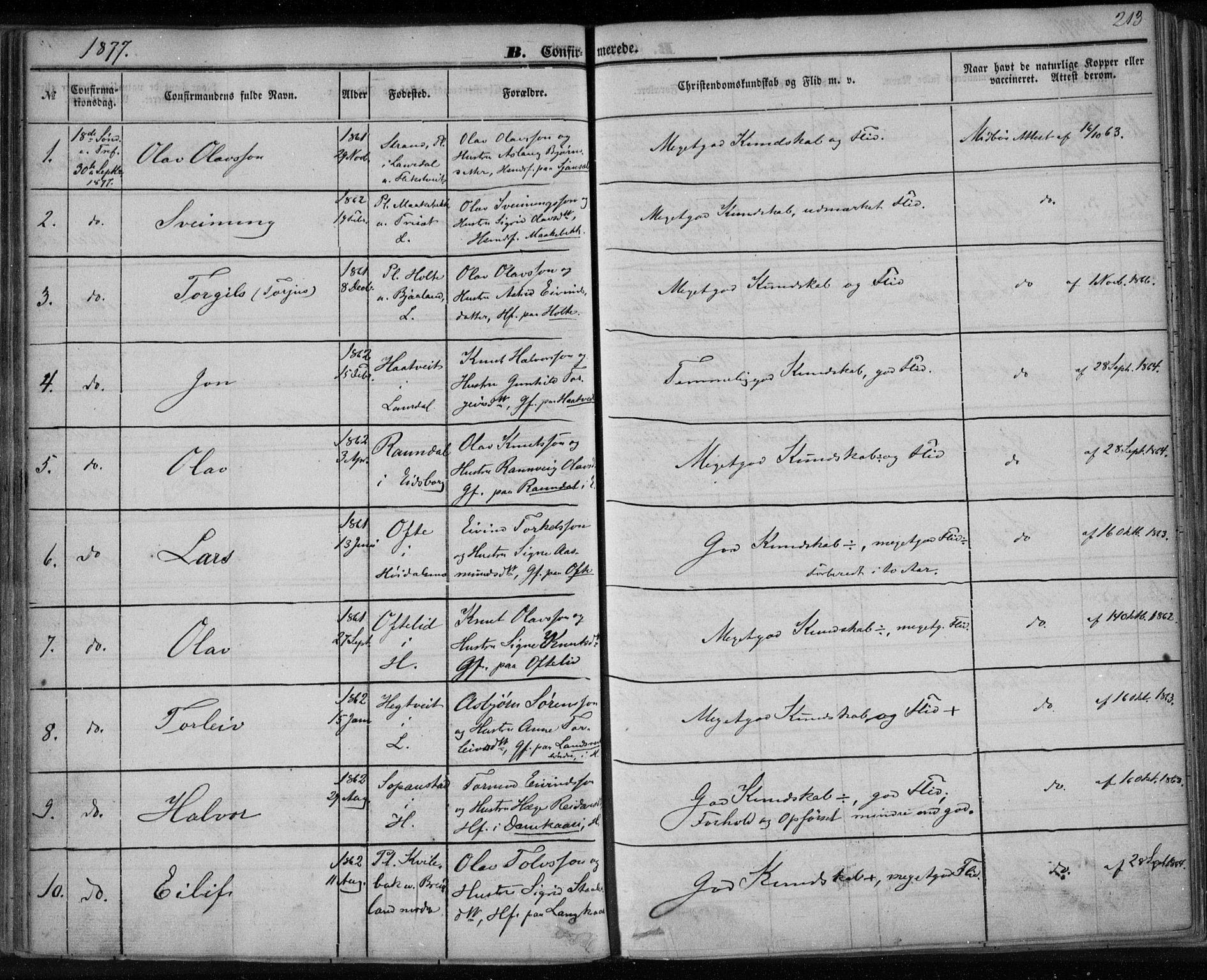 Lårdal kirkebøker, SAKO/A-284/F/Fa/L0006: Parish register (official) no. I 6, 1861-1886, p. 213