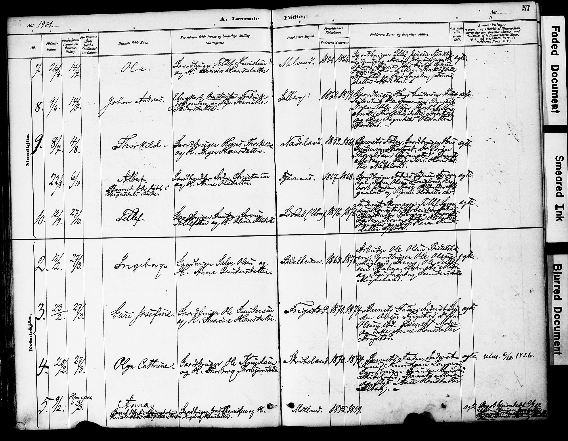 Evje sokneprestkontor, AV/SAK-1111-0008/F/Fa/Fac/L0003: Parish register (official) no. A 3, 1884-1909, p. 57