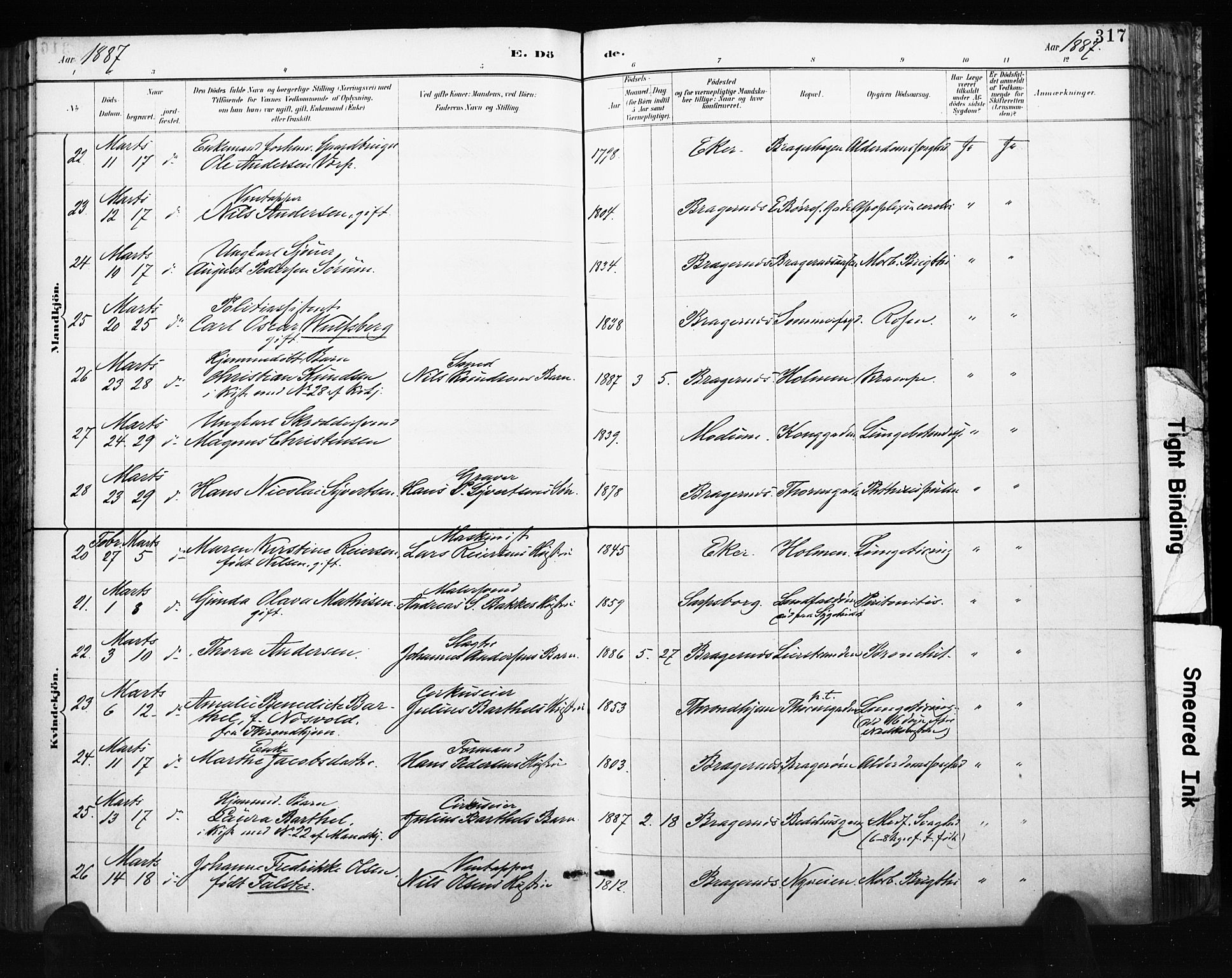 Bragernes kirkebøker, SAKO/A-6/F/Fb/L0007: Parish register (official) no. II 7, 1885-1893, p. 317