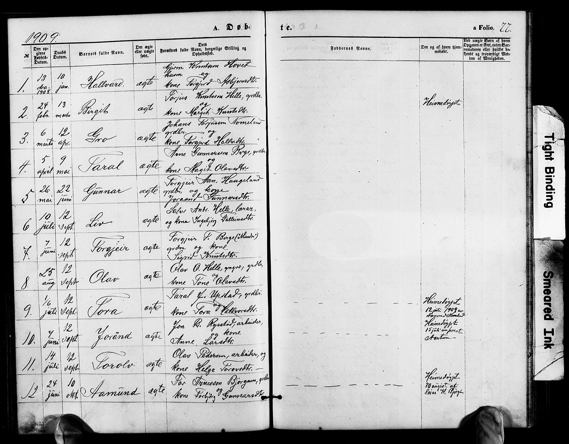 Valle sokneprestkontor, SAK/1111-0044/F/Fb/Fbb/L0002: Parish register (copy) no. B 2, 1875-1921, p. 77