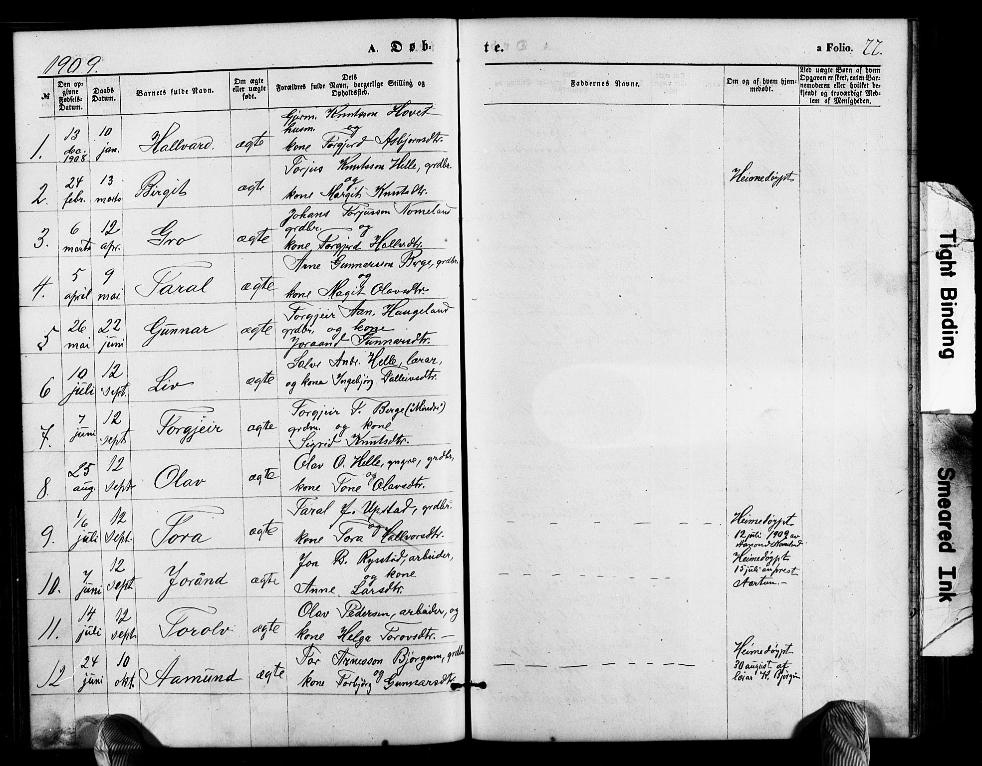 Valle sokneprestkontor, AV/SAK-1111-0044/F/Fb/Fbb/L0002: Parish register (copy) no. B 2, 1875-1921, p. 77