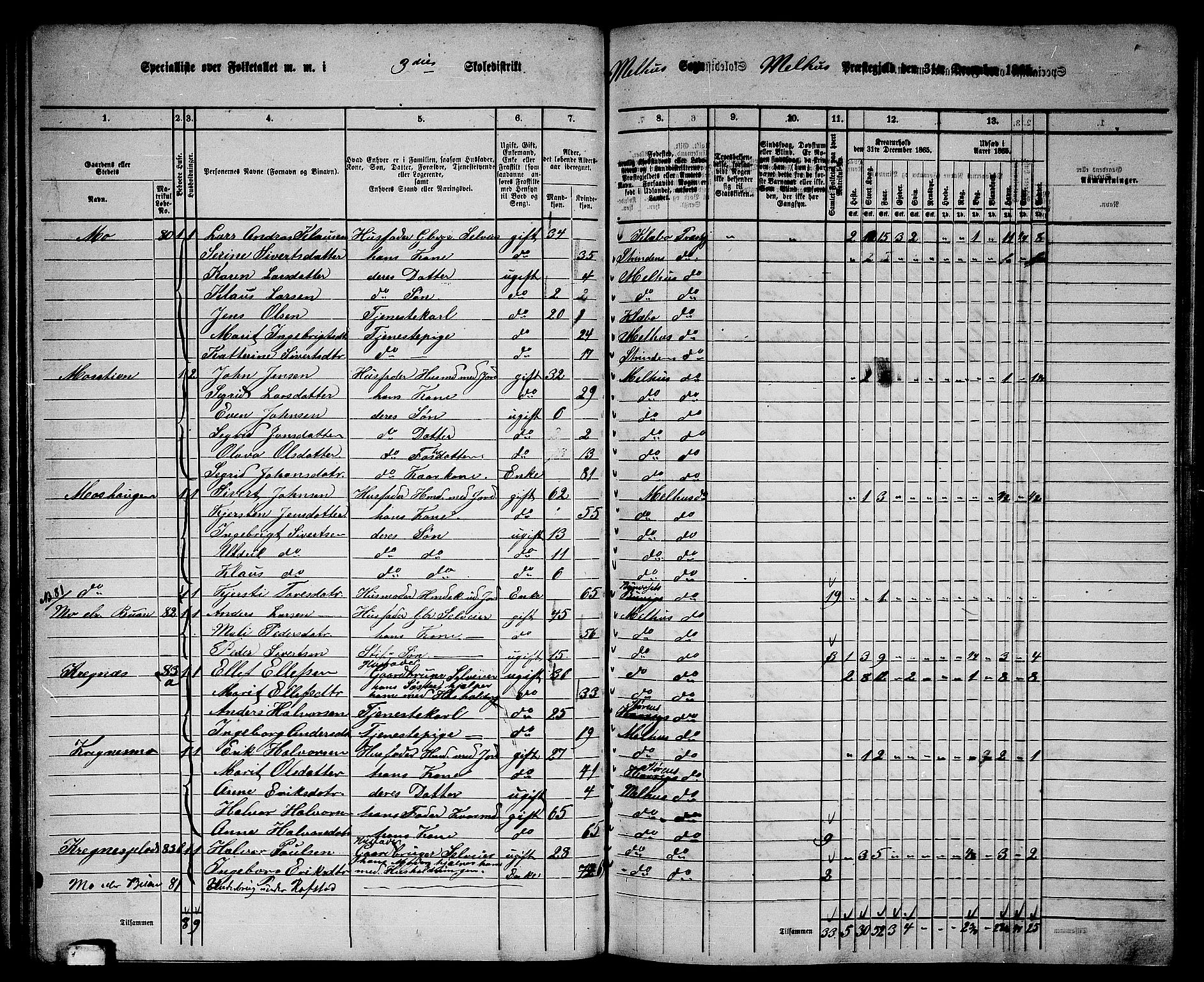 RA, 1865 census for Melhus, 1865, p. 62