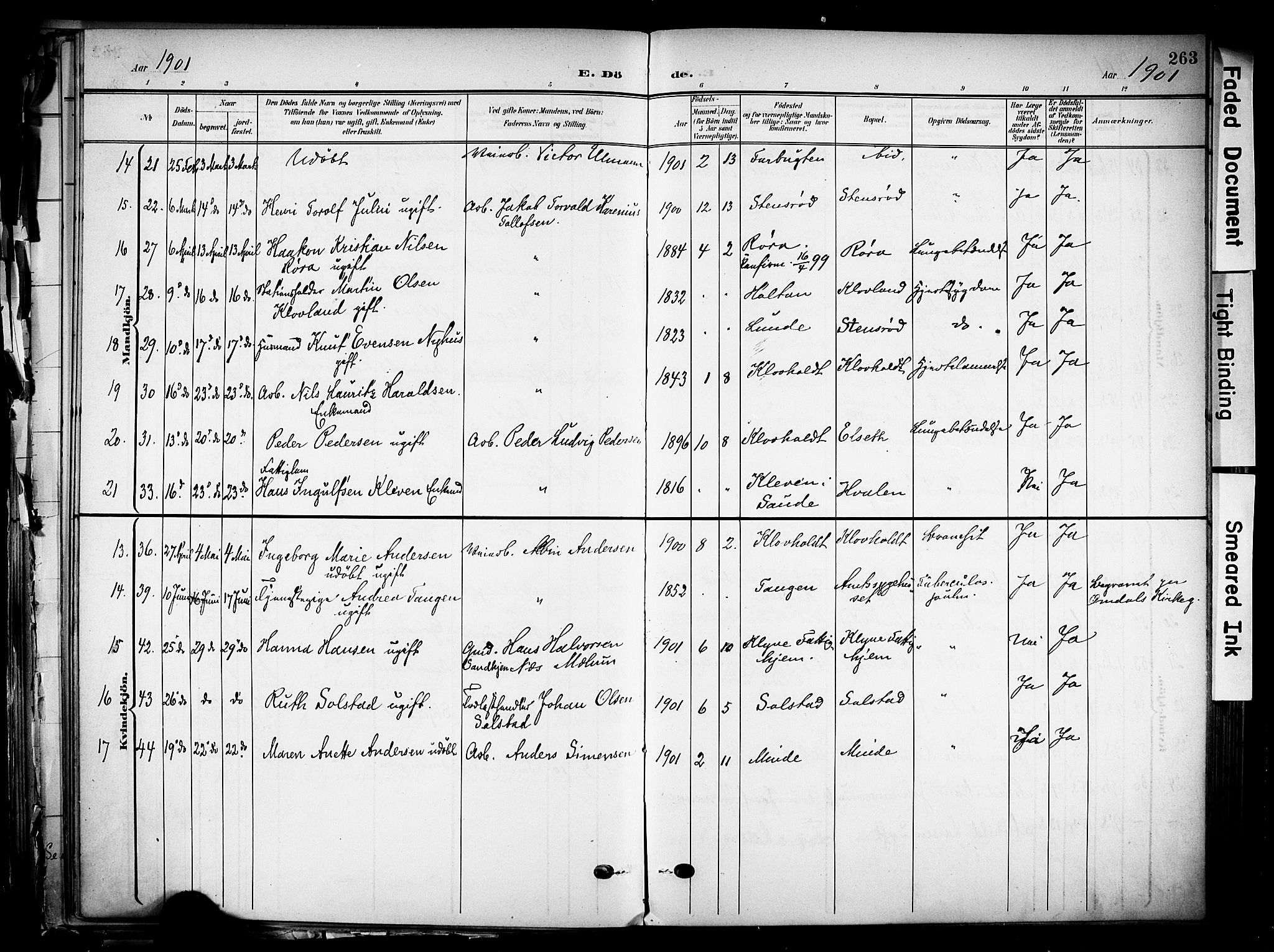 Solum kirkebøker, SAKO/A-306/F/Fa/L0011: Parish register (official) no. I 11, 1898-1909, p. 263