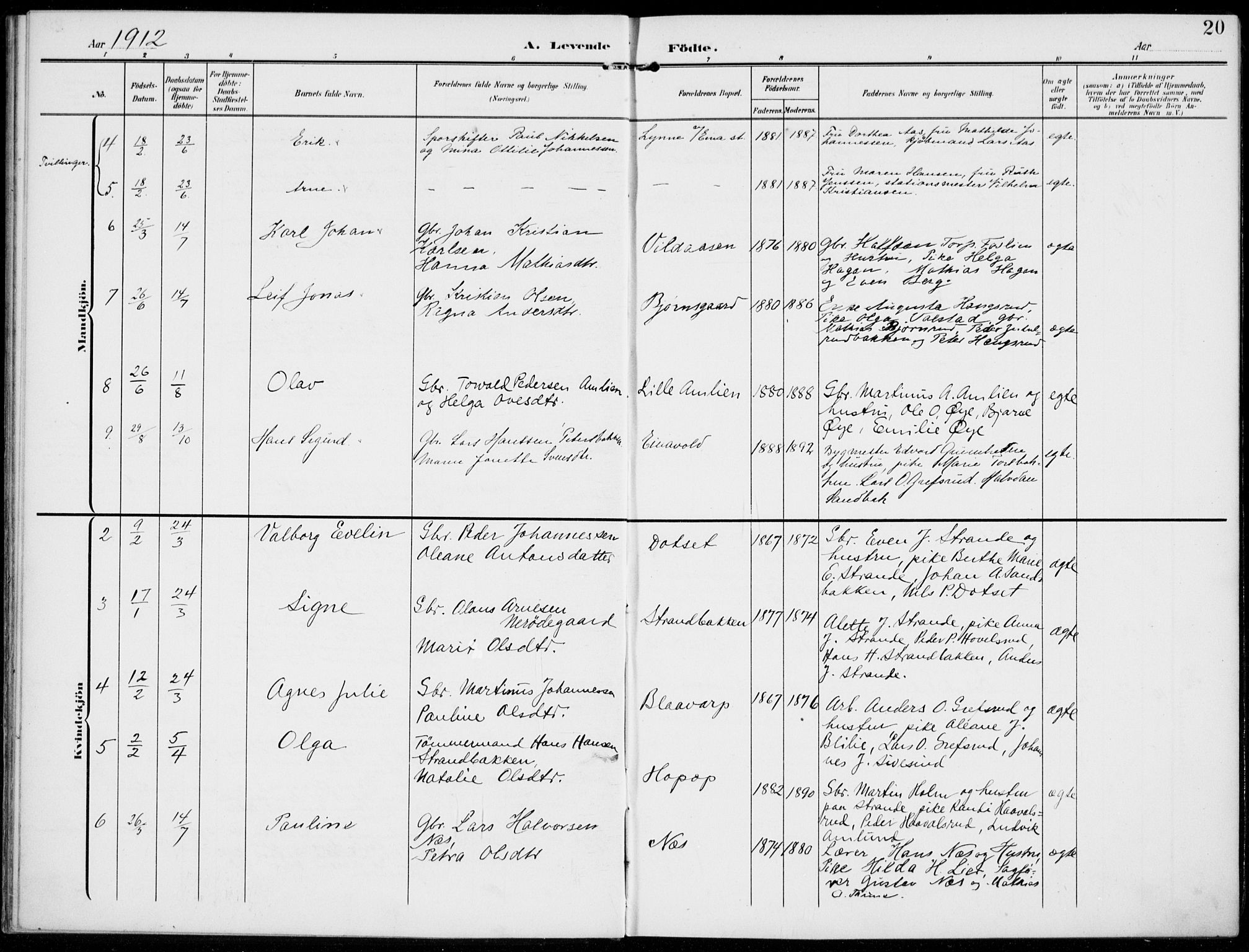 Kolbu prestekontor, SAH/PREST-110/H/Ha/Haa/L0001: Parish register (official) no. 1, 1907-1923, p. 20