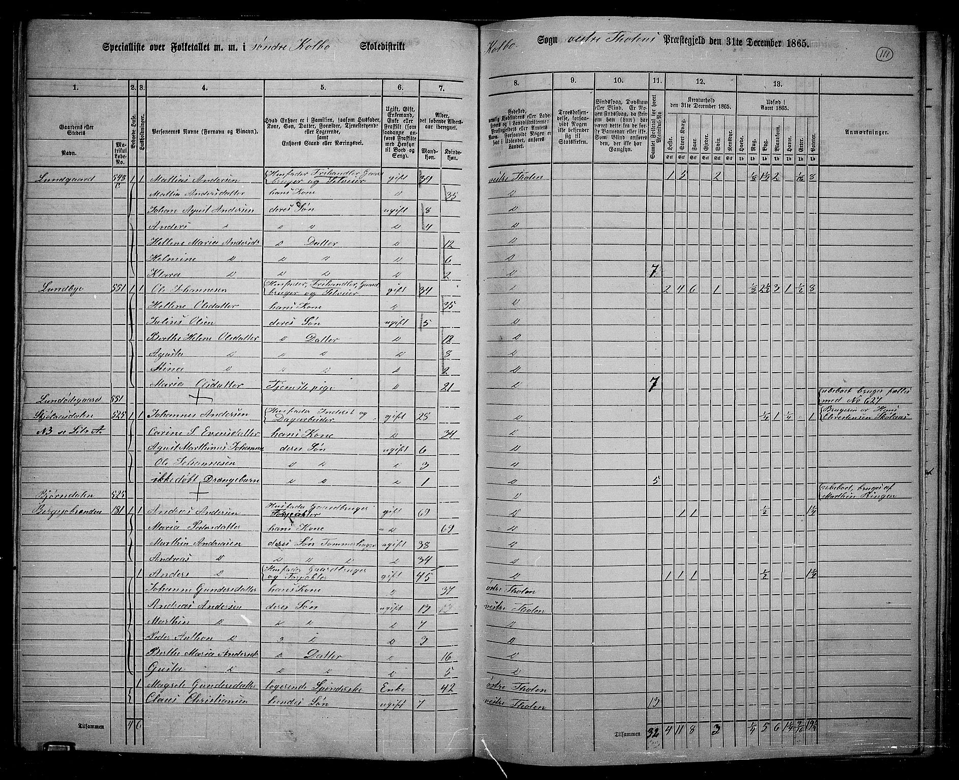 RA, 1865 census for Vestre Toten, 1865, p. 265