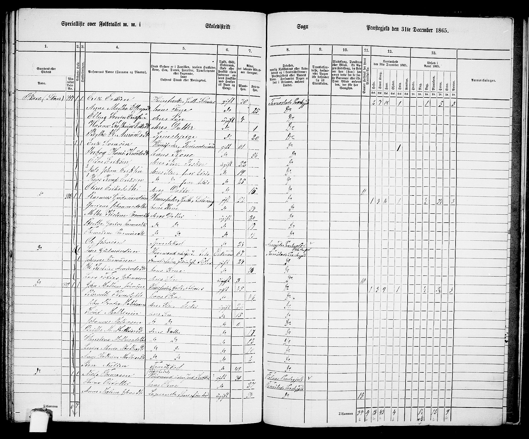 RA, 1865 census for Torvastad/Torvastad, Skåre og Utsira, 1865, p. 145