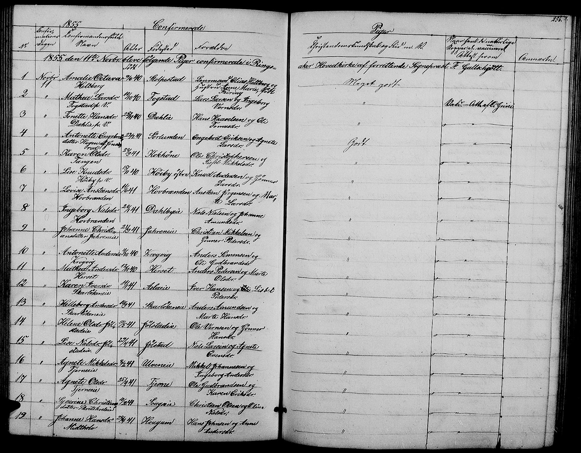 Ringsaker prestekontor, AV/SAH-PREST-014/L/La/L0006: Parish register (copy) no. 6, 1851-1860, p. 256