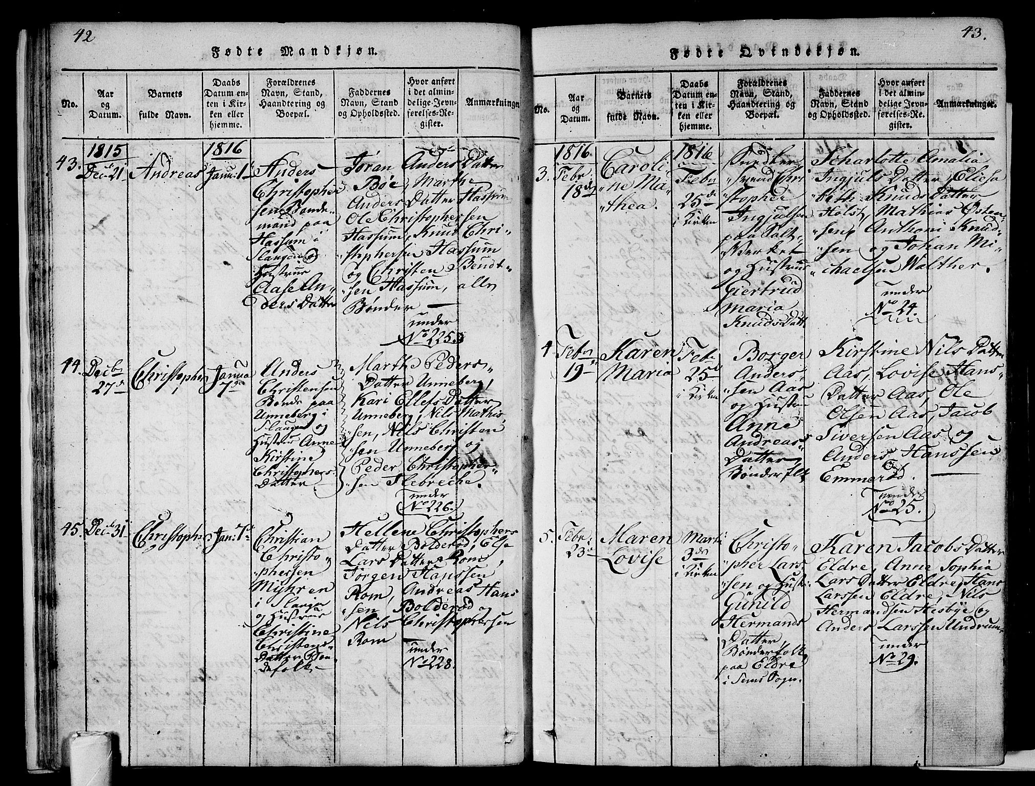 Sem kirkebøker, AV/SAKO-A-5/F/Fa/L0004: Parish register (official) no. I 4, 1814-1825, p. 42-43