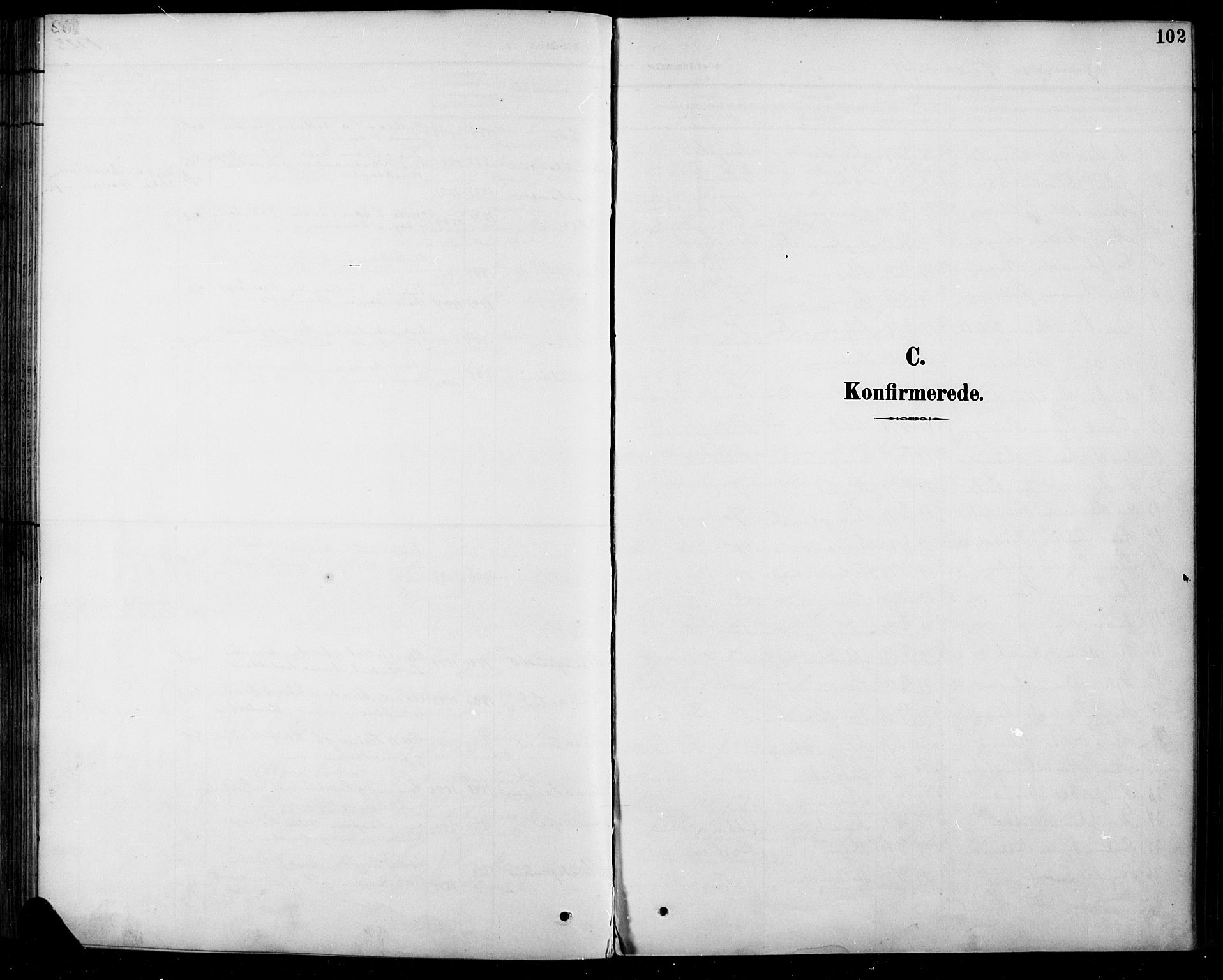 Sel prestekontor, AV/SAH-PREST-074/H/Ha/Hab/L0005: Parish register (copy) no. 5, 1894-1923, p. 102