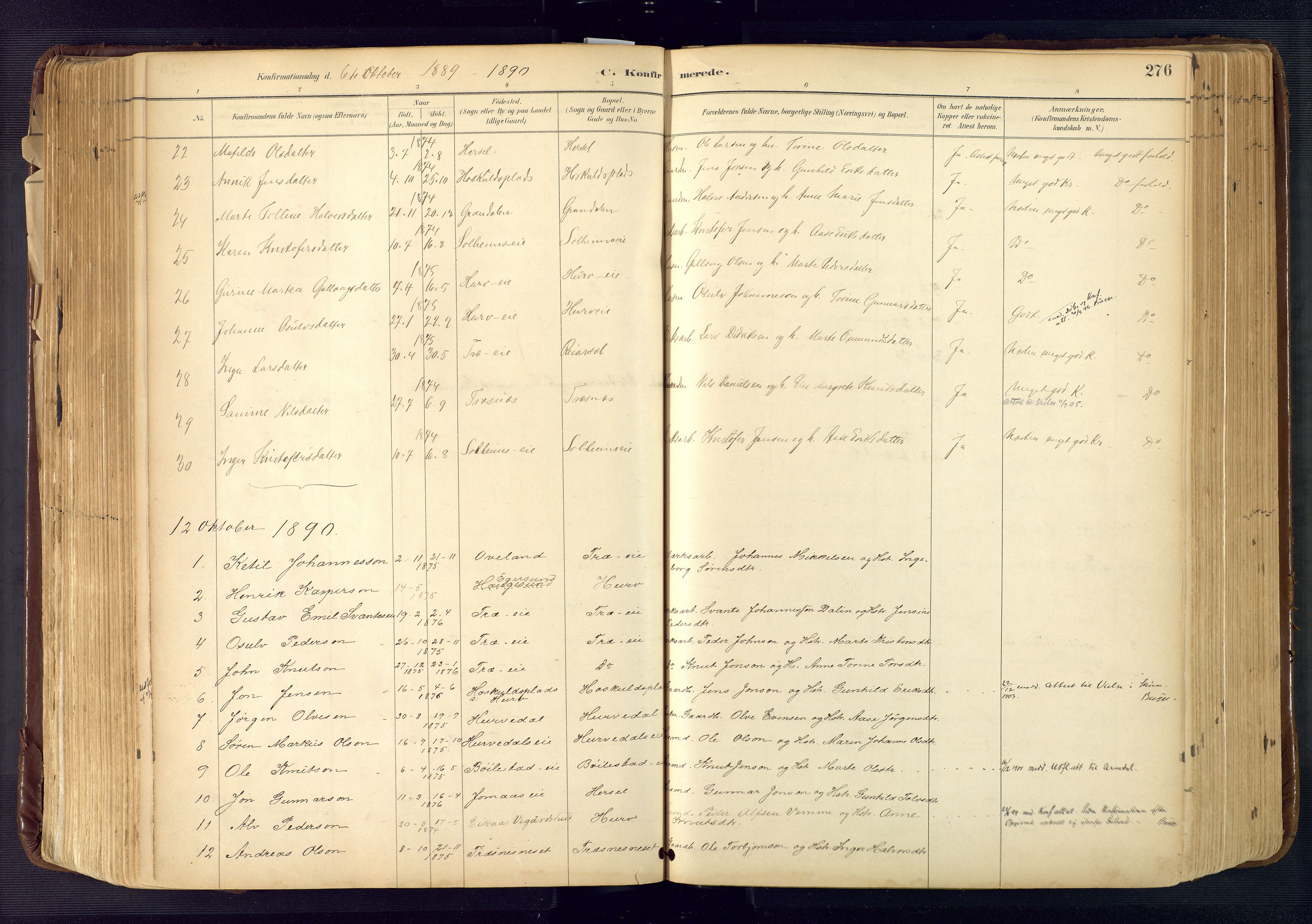 Froland sokneprestkontor, AV/SAK-1111-0013/F/Fa/L0005: Parish register (official) no. A 5, 1882-1921, p. 276