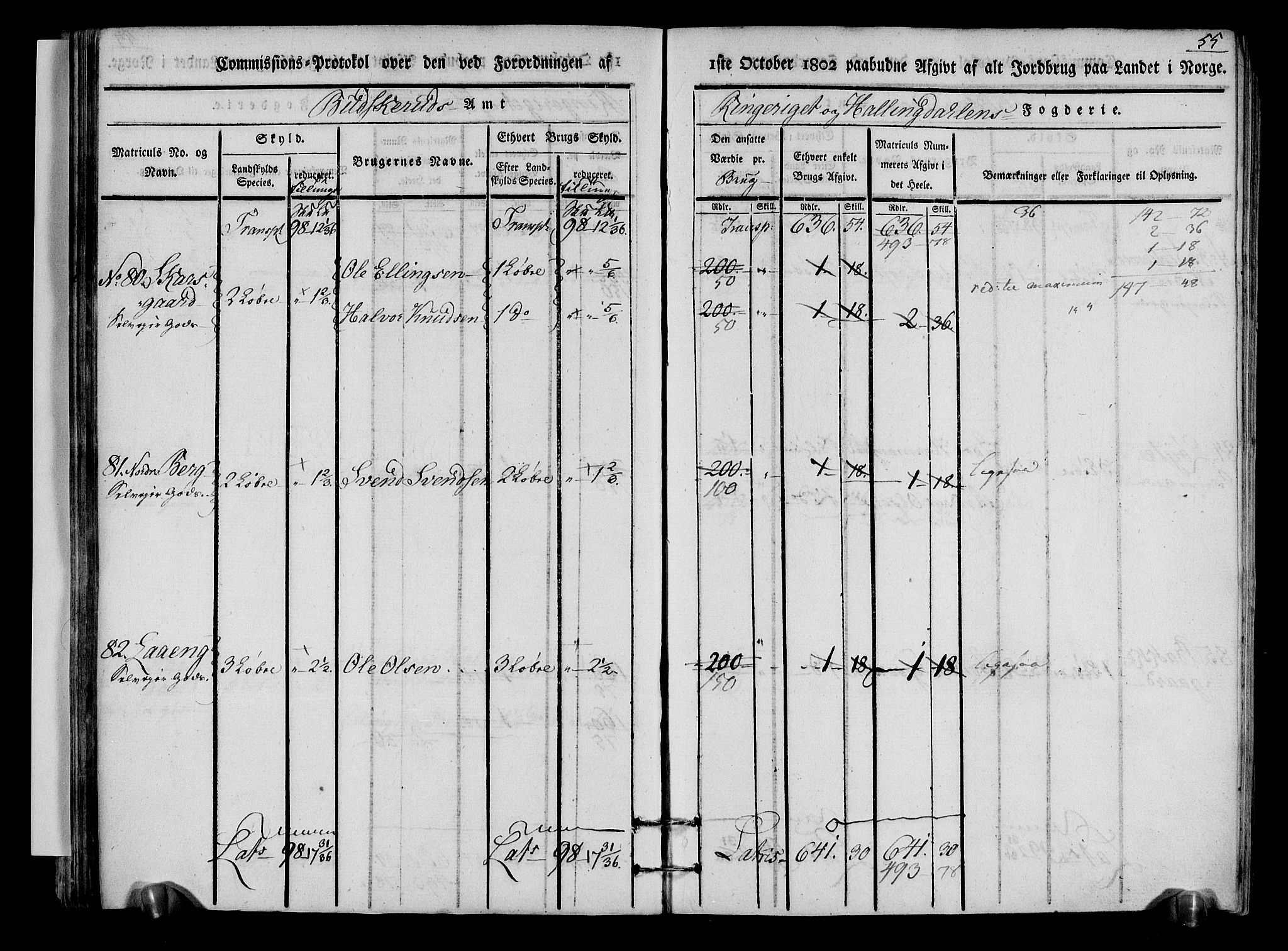 Rentekammeret inntil 1814, Realistisk ordnet avdeling, AV/RA-EA-4070/N/Ne/Nea/L0048: Ringerike og Hallingdal fogderi. Kommisjonsprotokoll for Ål prestegjeld, 1803, p. 58