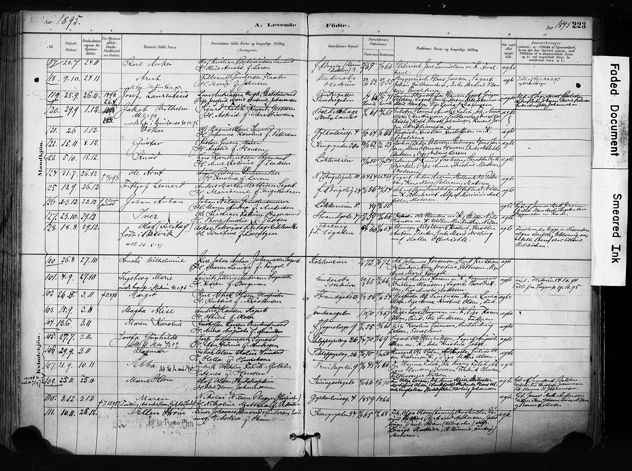 Larvik kirkebøker, AV/SAKO-A-352/F/Fa/L0009: Parish register (official) no. I 9, 1884-1904, p. 223