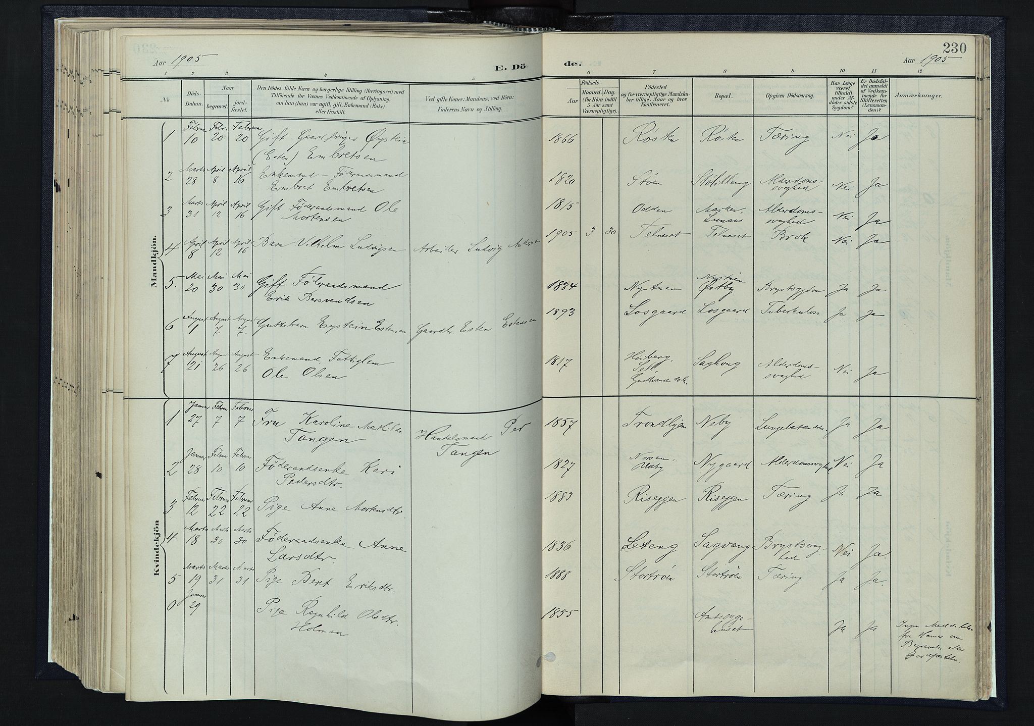 Tynset prestekontor, AV/SAH-PREST-058/H/Ha/Haa/L0025: Parish register (official) no. 25, 1900-1914, p. 230