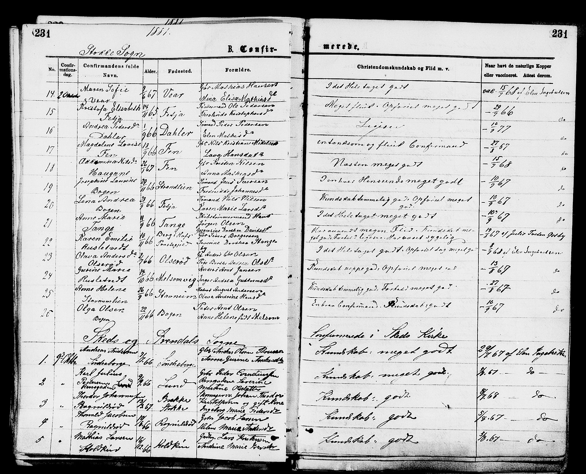 Stokke kirkebøker, AV/SAKO-A-320/F/Fa/L0009: Parish register (official) no. I 9, 1872-1883, p. 231