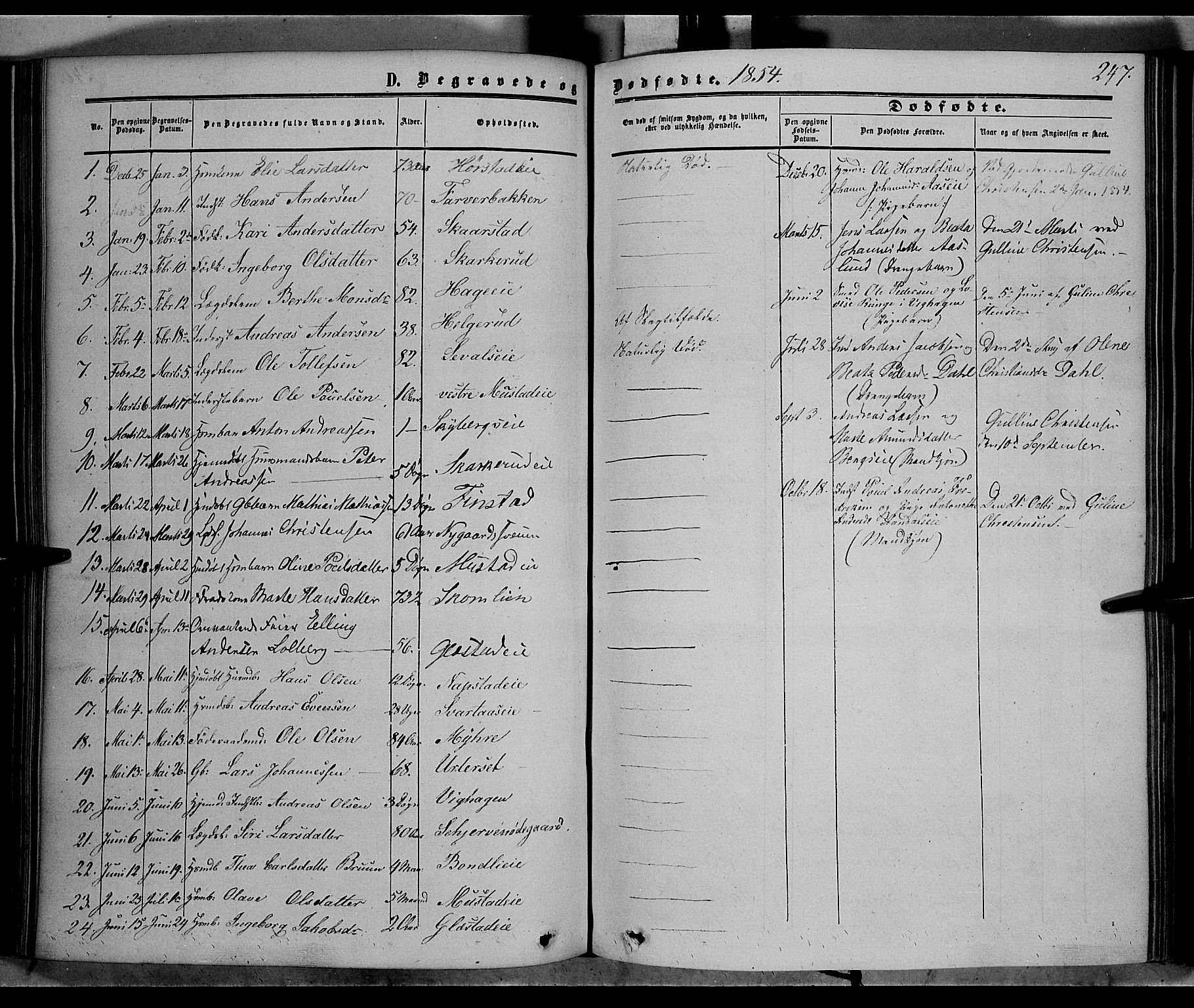 Vardal prestekontor, SAH/PREST-100/H/Ha/Haa/L0006: Parish register (official) no. 6, 1854-1866, p. 247