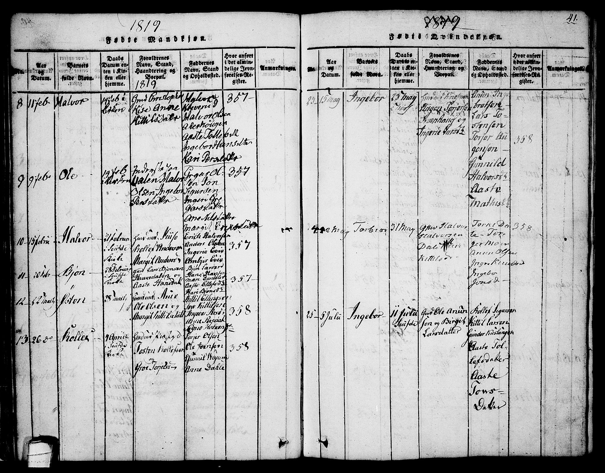 Sauherad kirkebøker, AV/SAKO-A-298/G/Ga/L0001: Parish register (copy) no. I 1, 1815-1827, p. 41