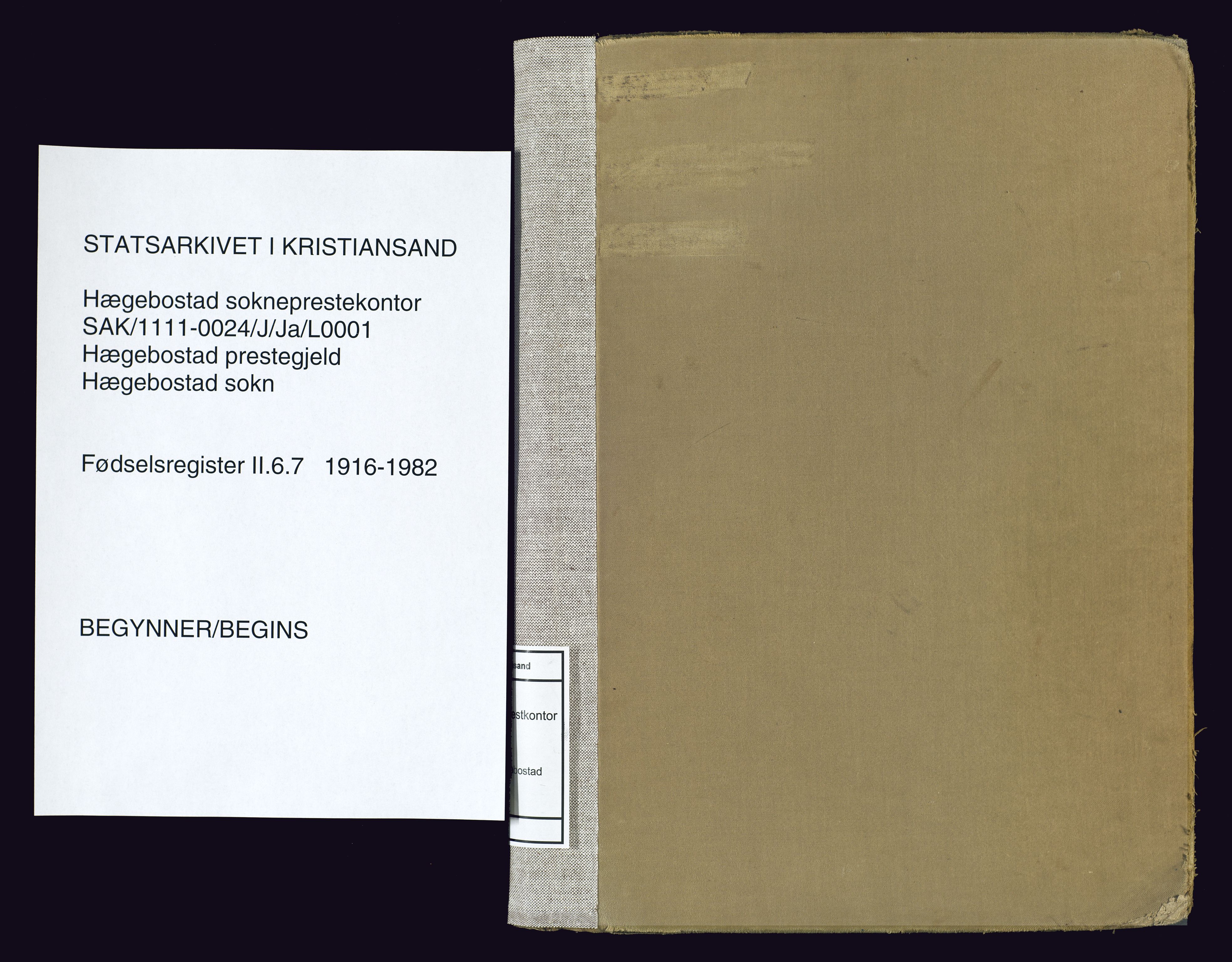 Hægebostad sokneprestkontor, SAK/1111-0024/J/Ja/L0001: Birth register no. II.6.7, 1916-1982