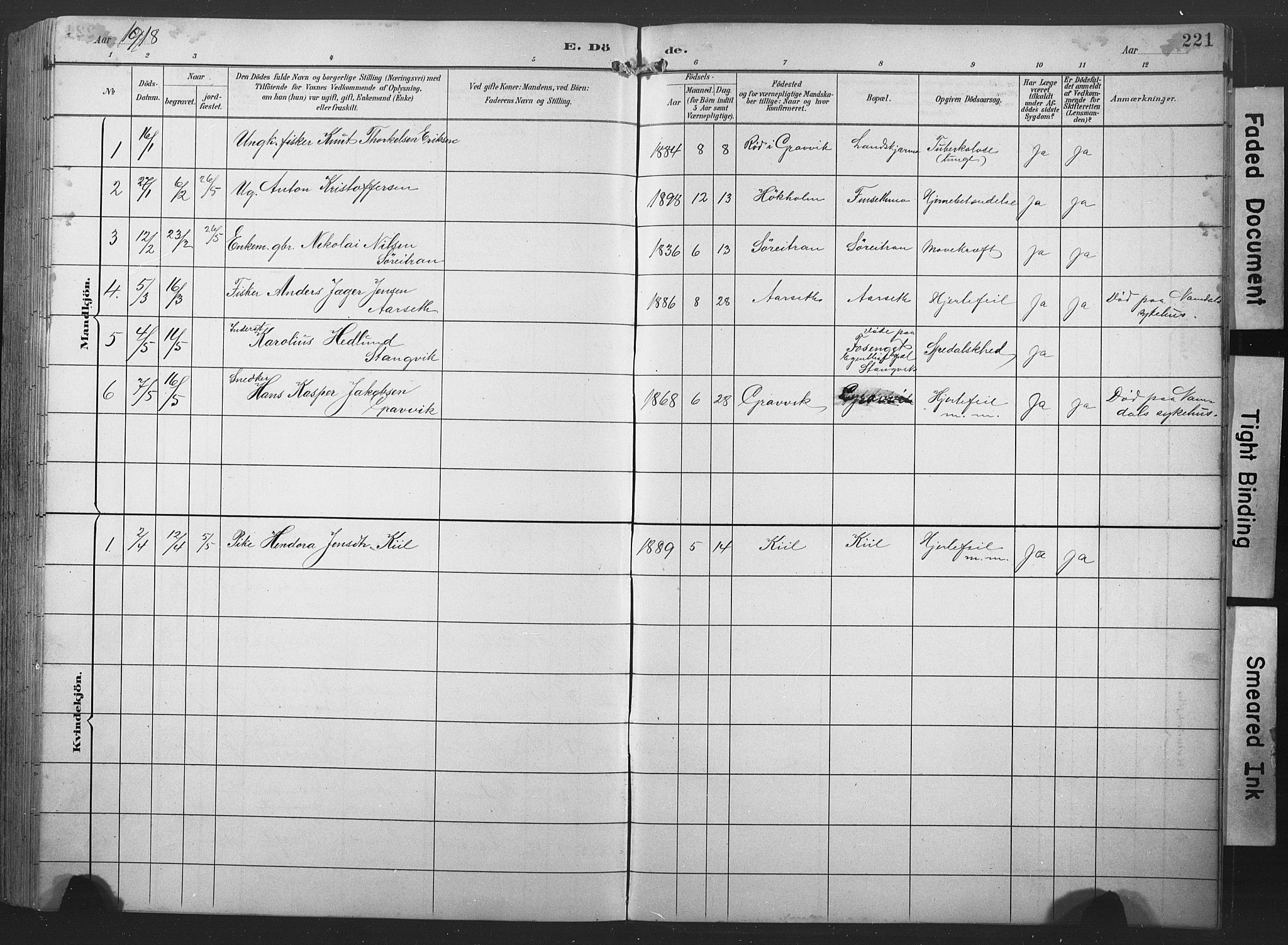 Ministerialprotokoller, klokkerbøker og fødselsregistre - Nord-Trøndelag, SAT/A-1458/789/L0706: Parish register (copy) no. 789C01, 1888-1931, p. 221