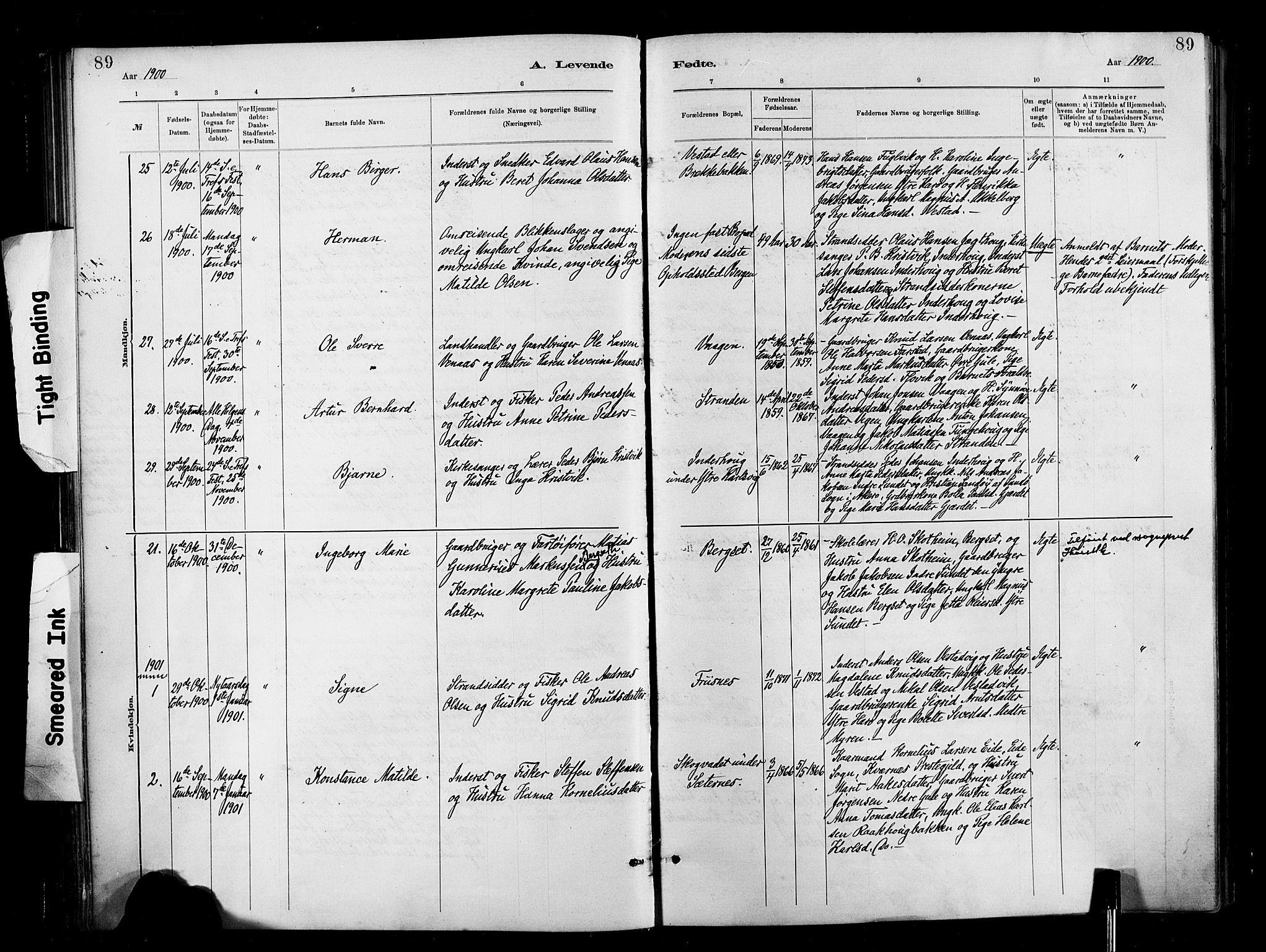 Ministerialprotokoller, klokkerbøker og fødselsregistre - Møre og Romsdal, SAT/A-1454/566/L0769: Parish register (official) no. 566A08, 1881-1903, p. 89