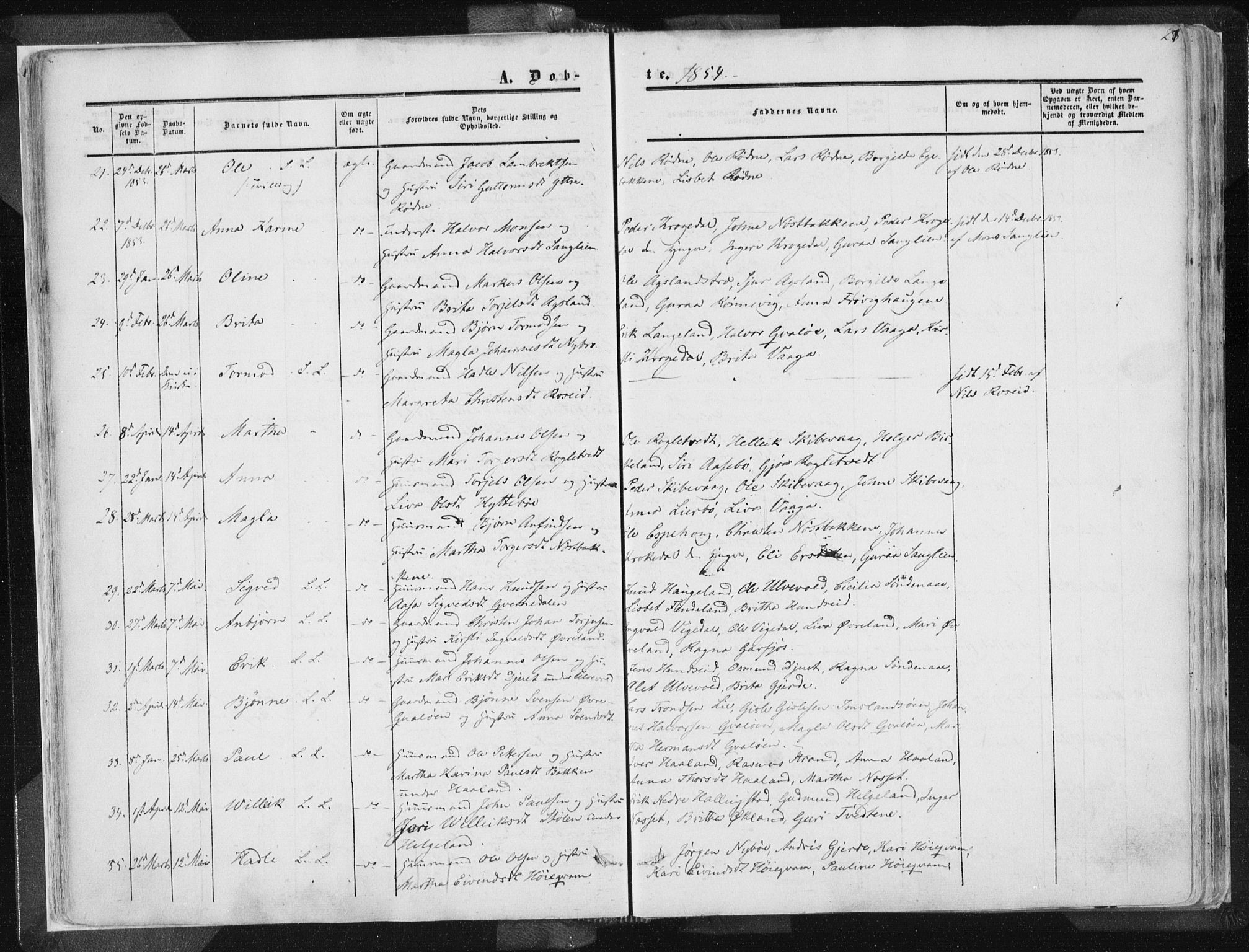 Vikedal sokneprestkontor, AV/SAST-A-101840/01/IV: Parish register (official) no. A 6.1, 1851-1867, p. 27