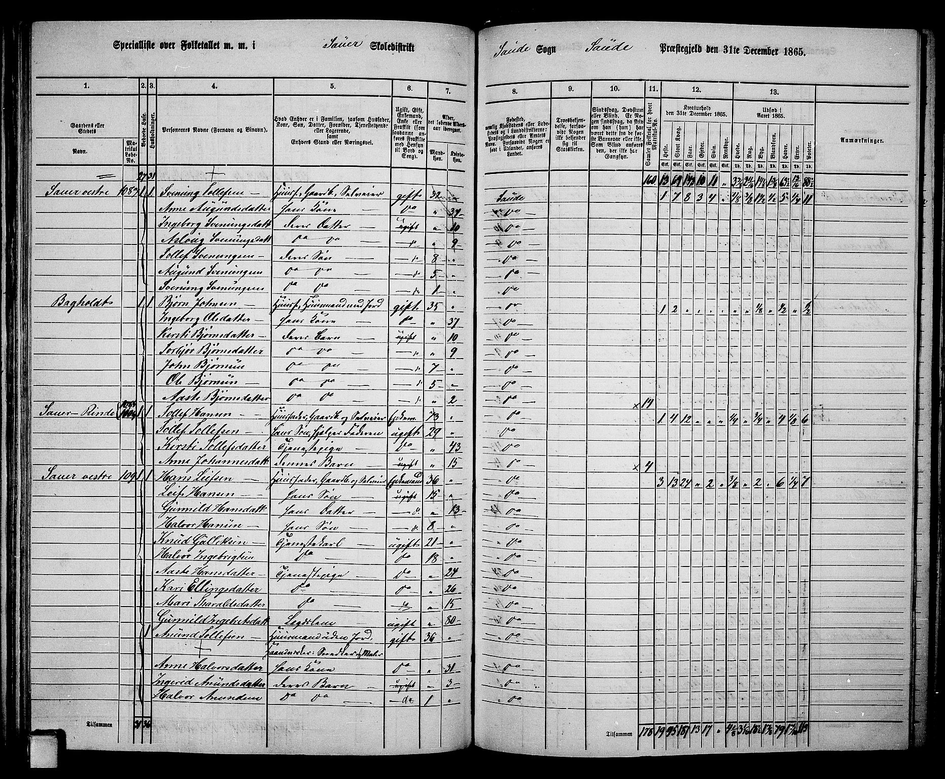 RA, 1865 census for Sauherad, 1865, p. 94