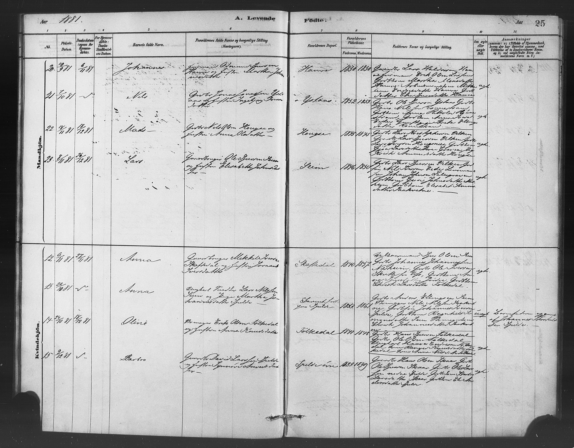 Ulvik sokneprestembete, SAB/A-78801/H/Haa: Parish register (official) no. C 1, 1878-1903, p. 25